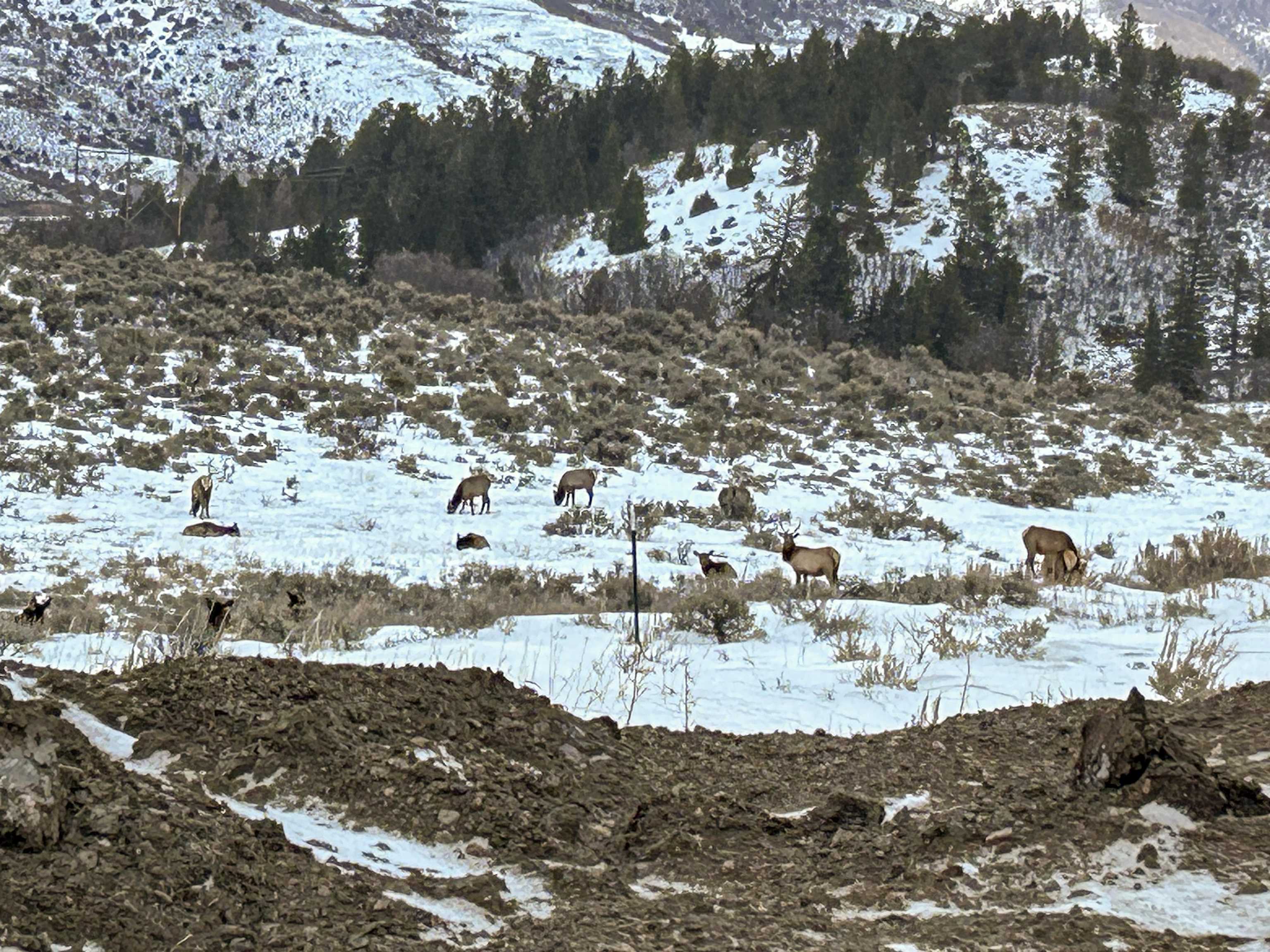 Tbd Highway 50 Property Photo 5