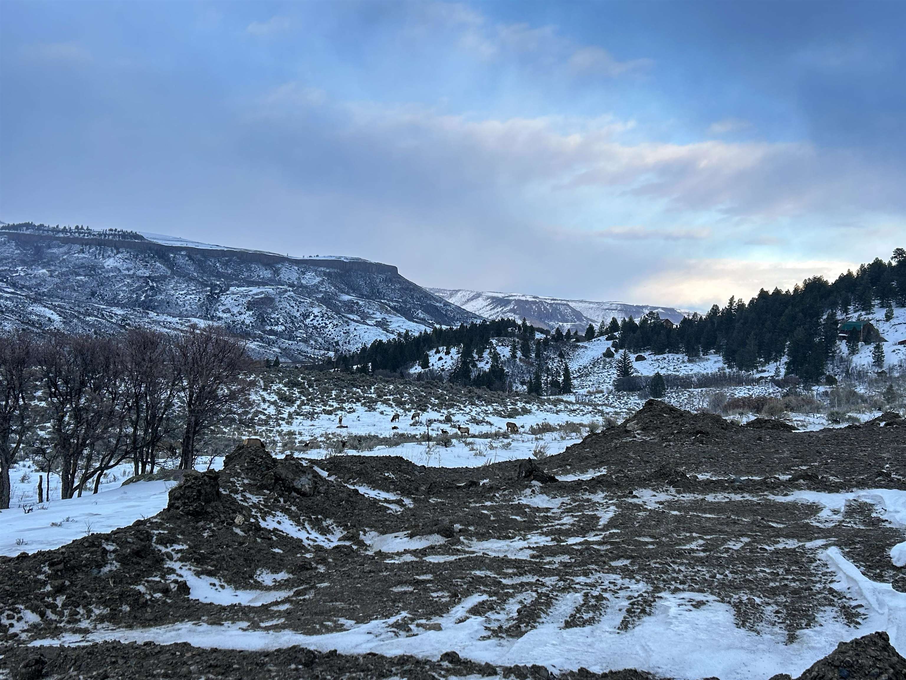 Tbd Highway 50 Property Photo 6