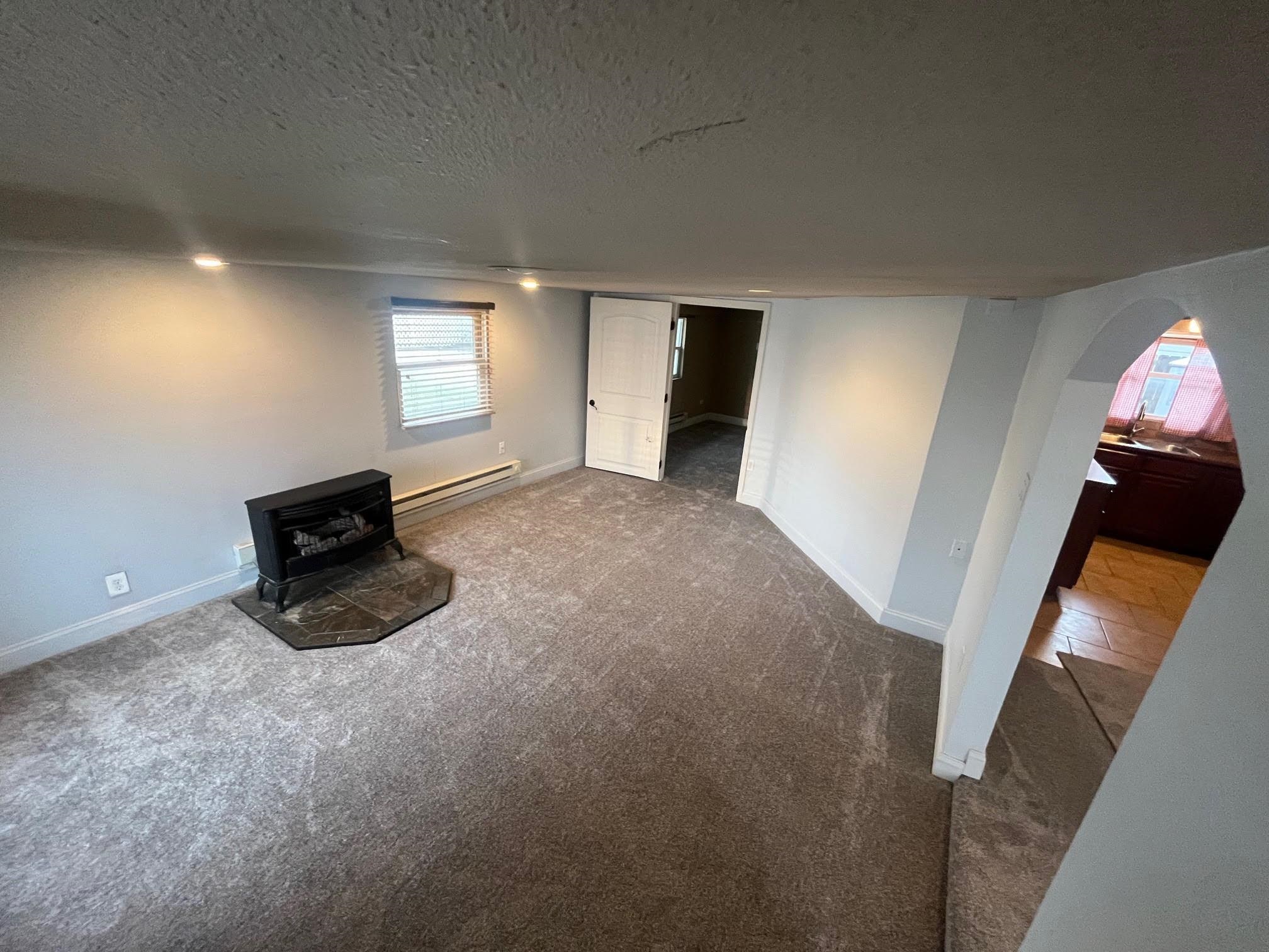 1645 Blue Gill Drive Property Photo 13