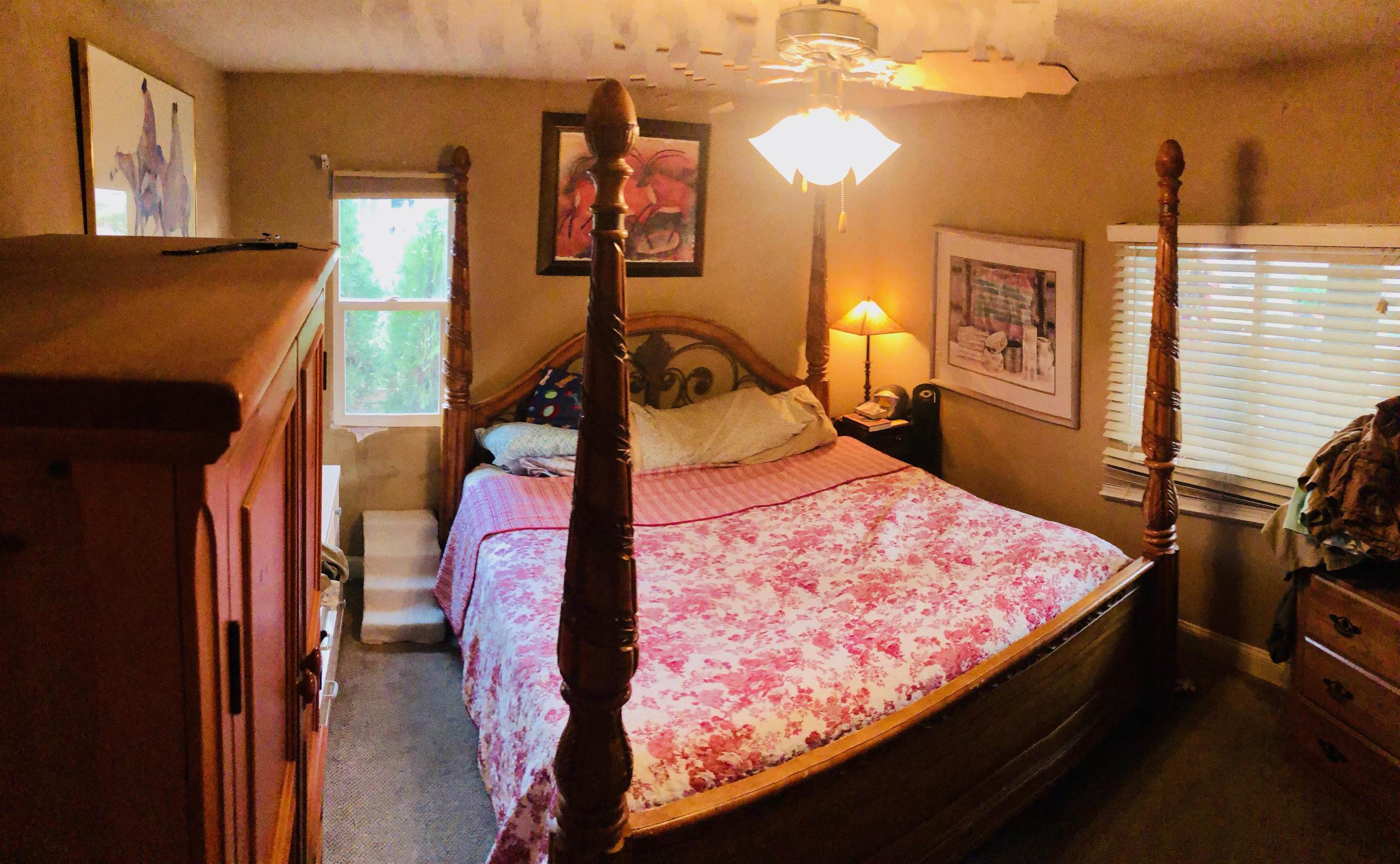 1645 Blue Gill Drive Property Photo 21