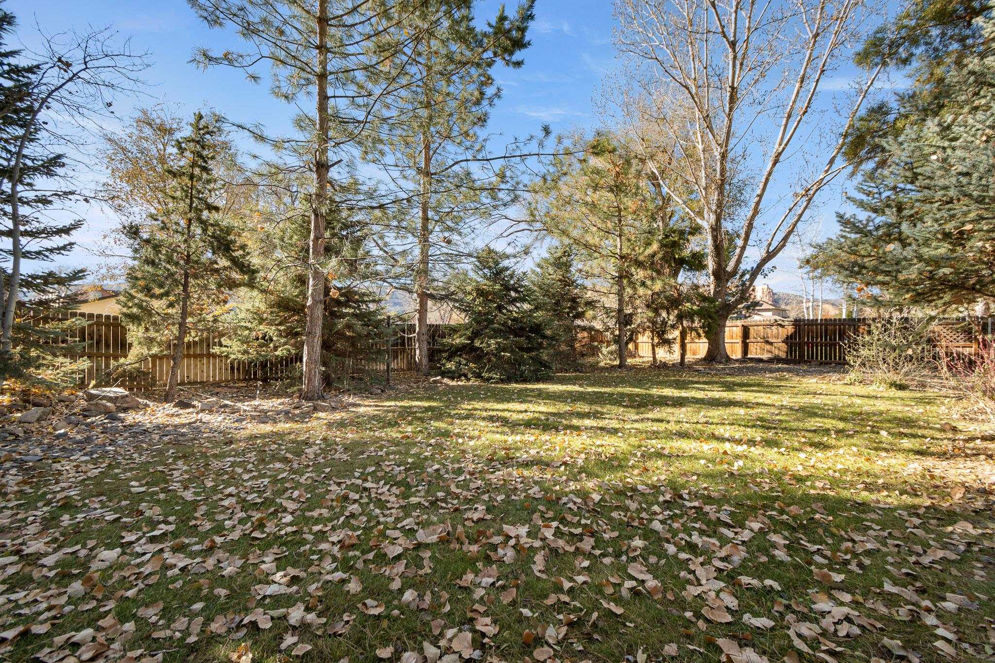 2049 Wrangler Way Property Photo 19