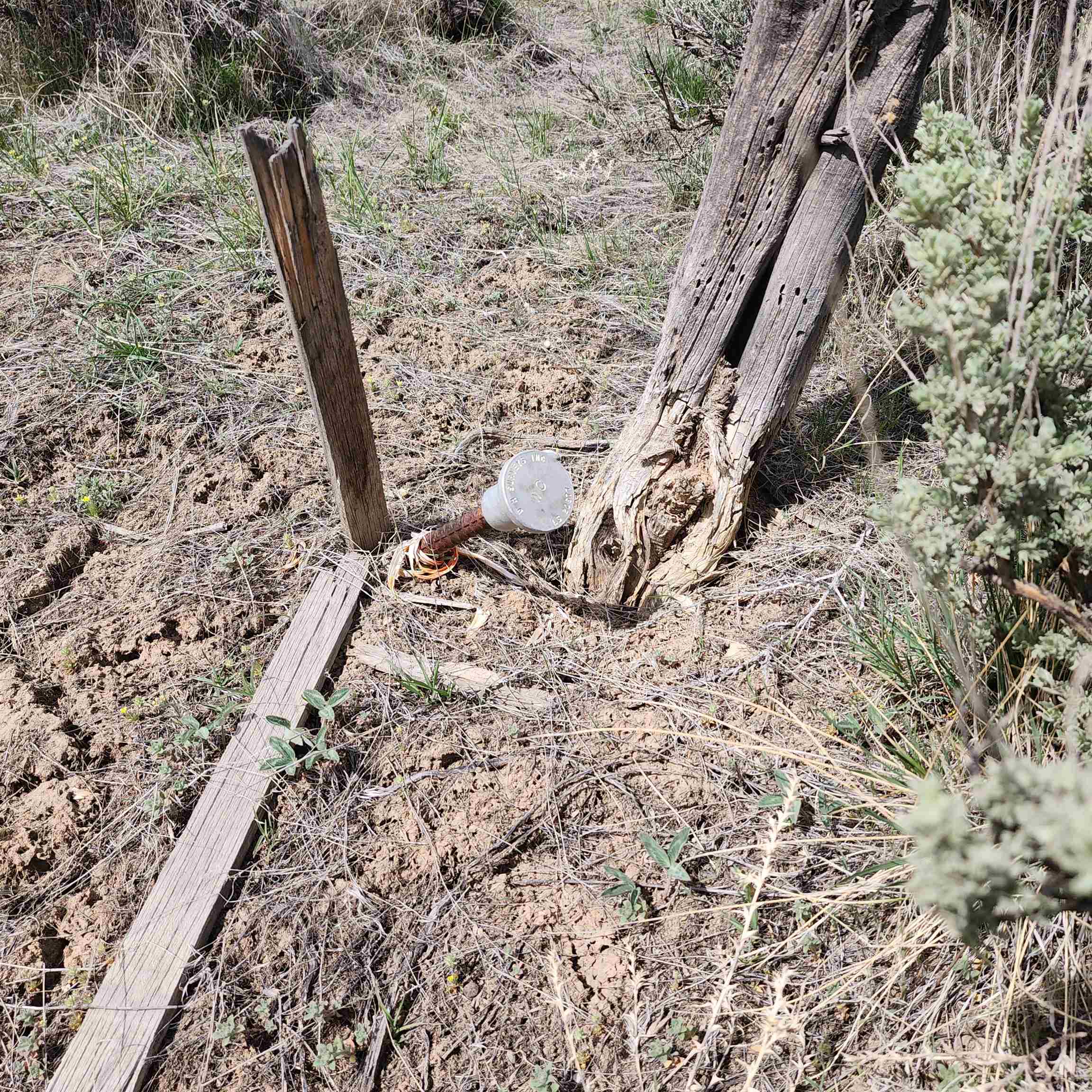 1775 35 1/10 Road Property Photo 13