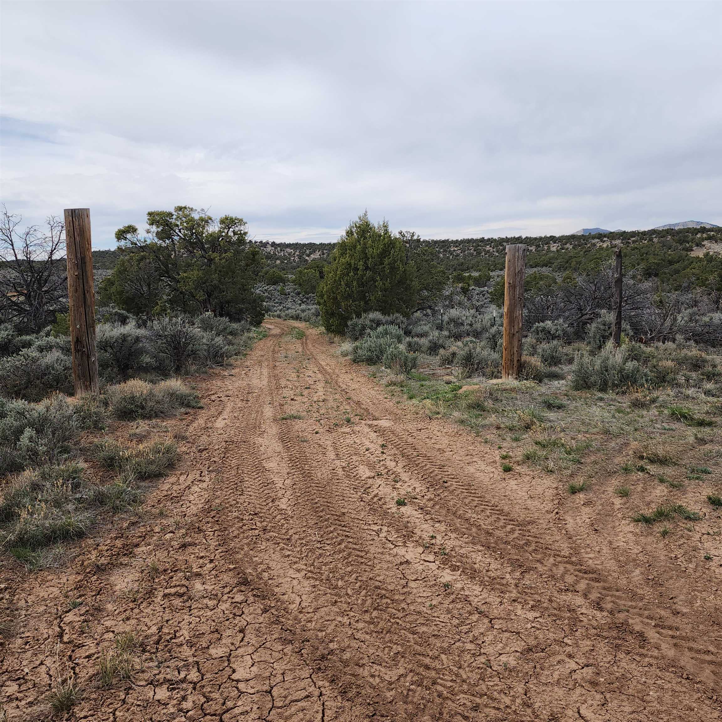 1775 35 1/10 Road Property Photo 14