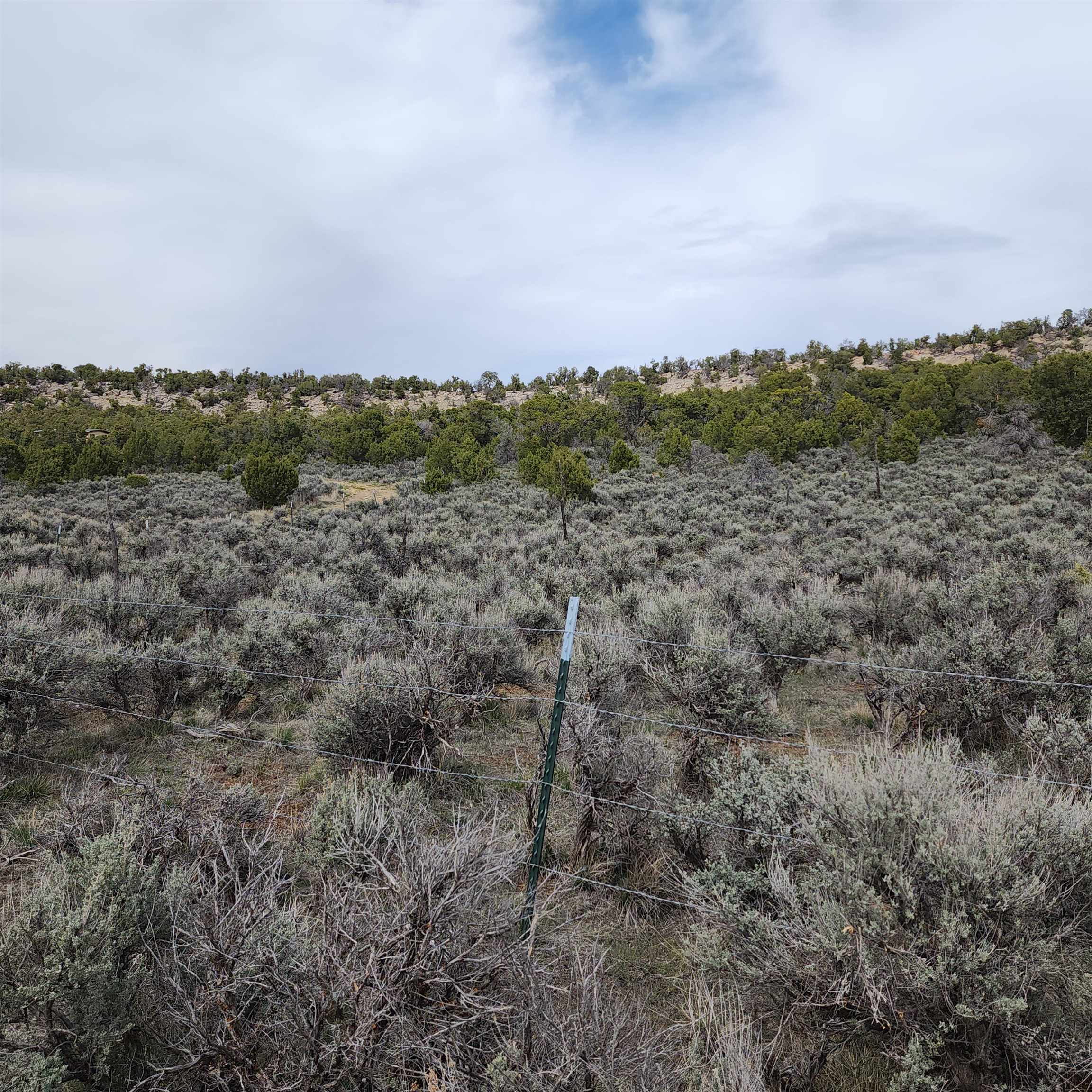 1775 35 1/10 Road Property Photo 15