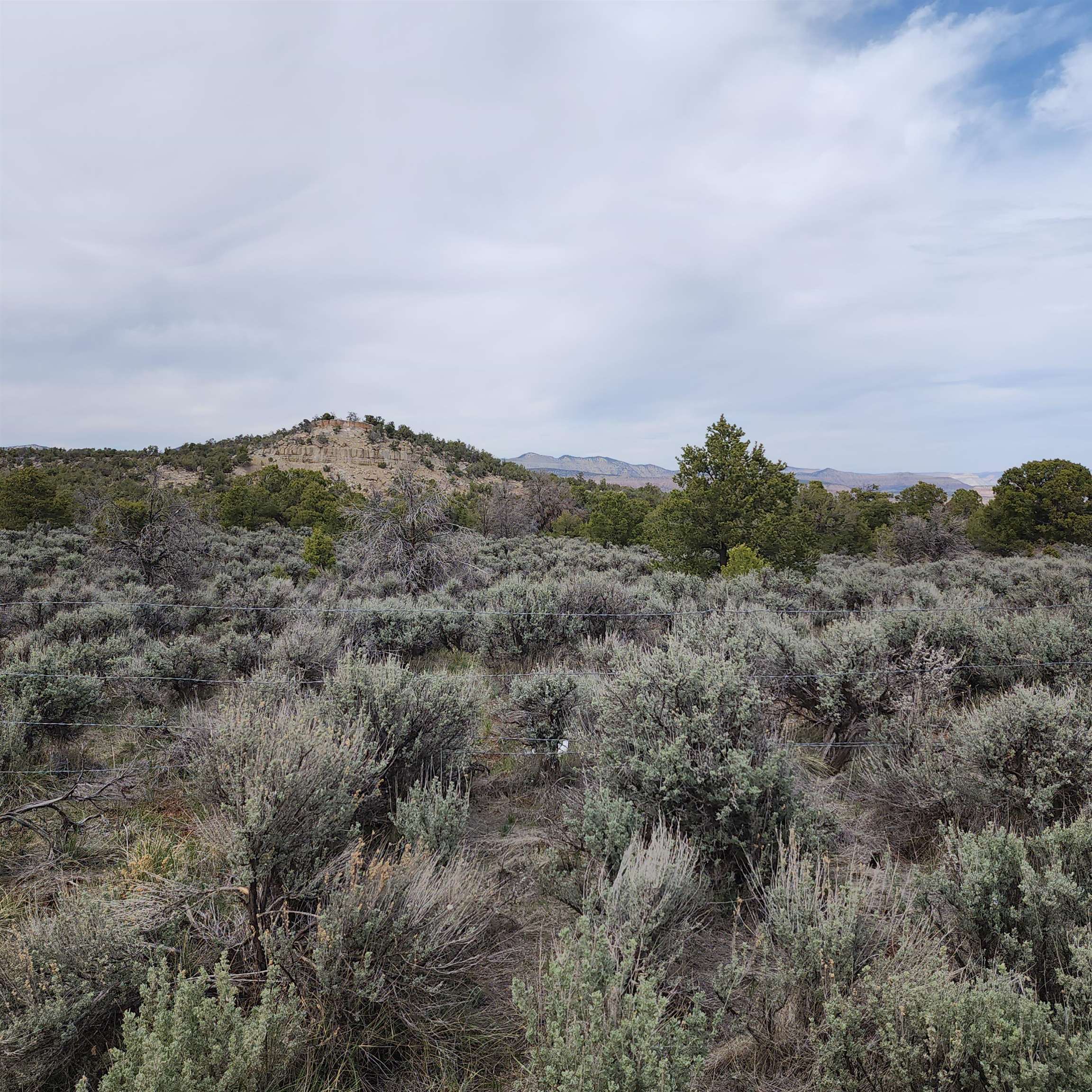 1775 35 1/10 Road Property Photo 16