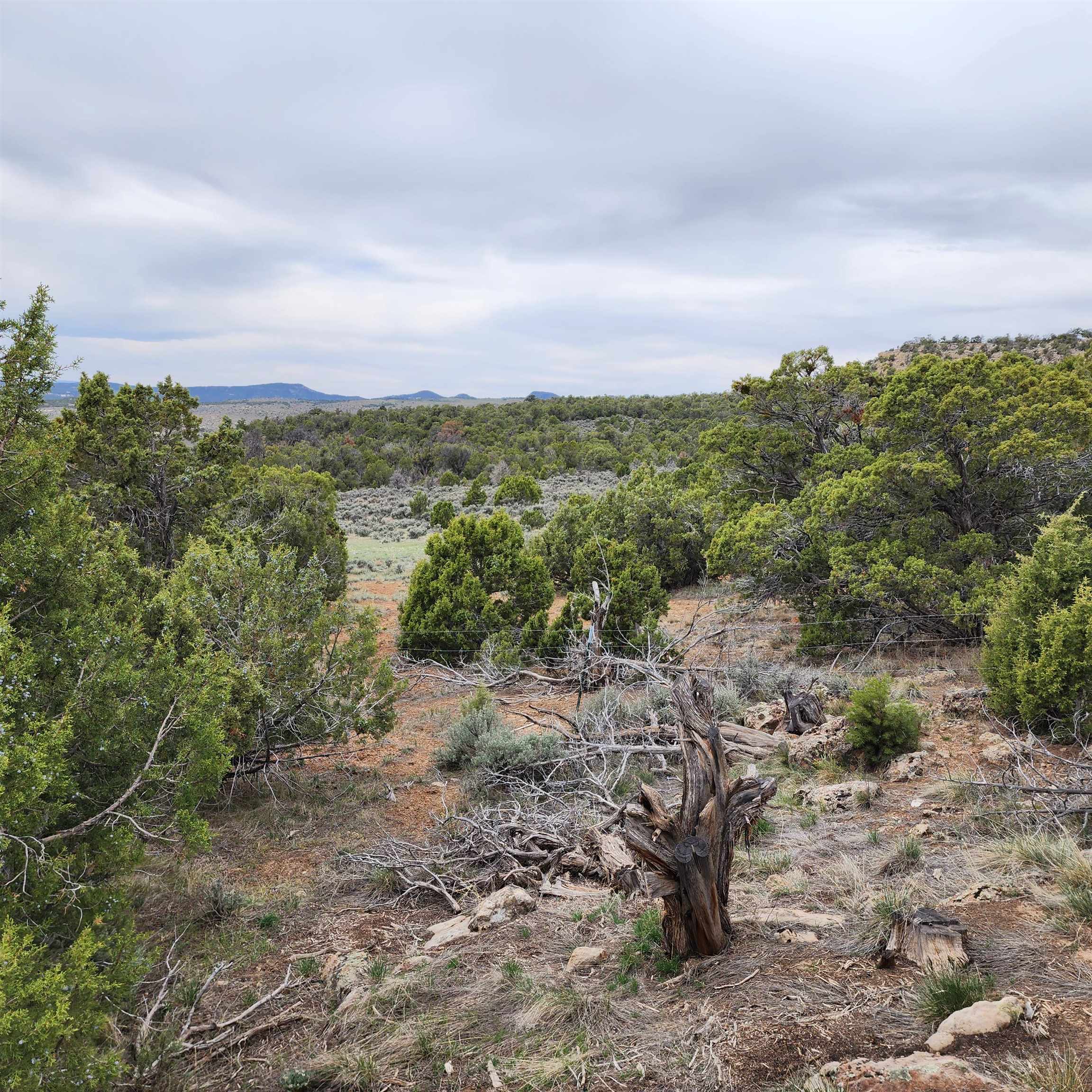 1775 35 1/10 Road Property Photo 19