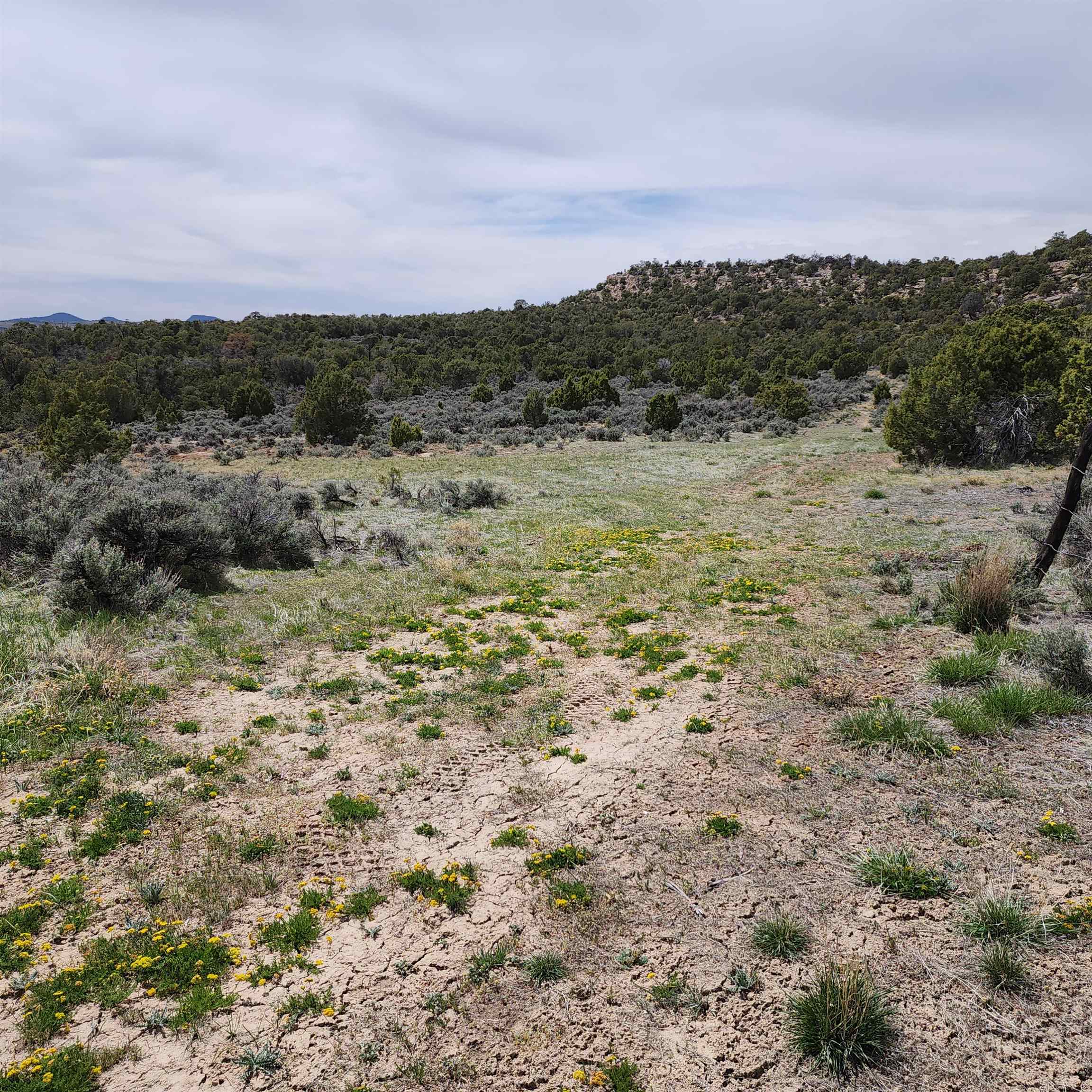1775 35 1/10 Road Property Photo 20