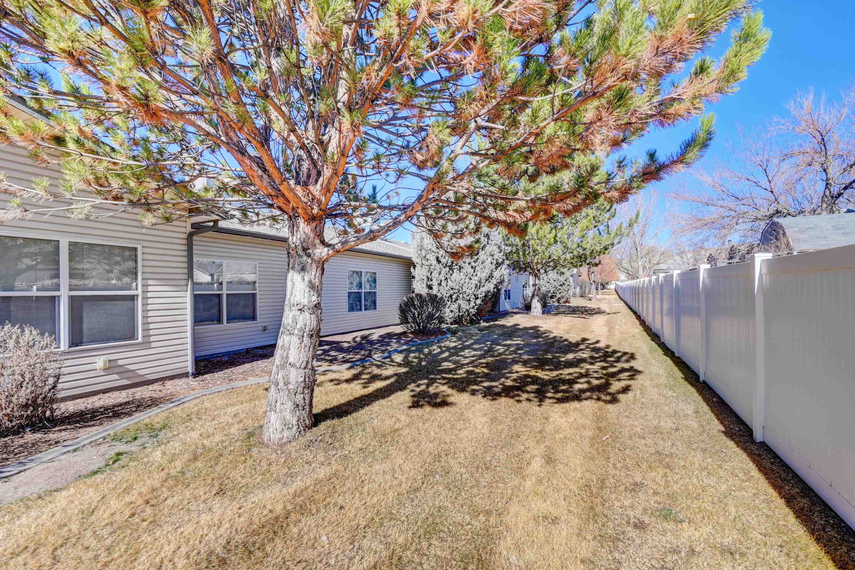 580 1/2 Willoughby Street Property Photo 6