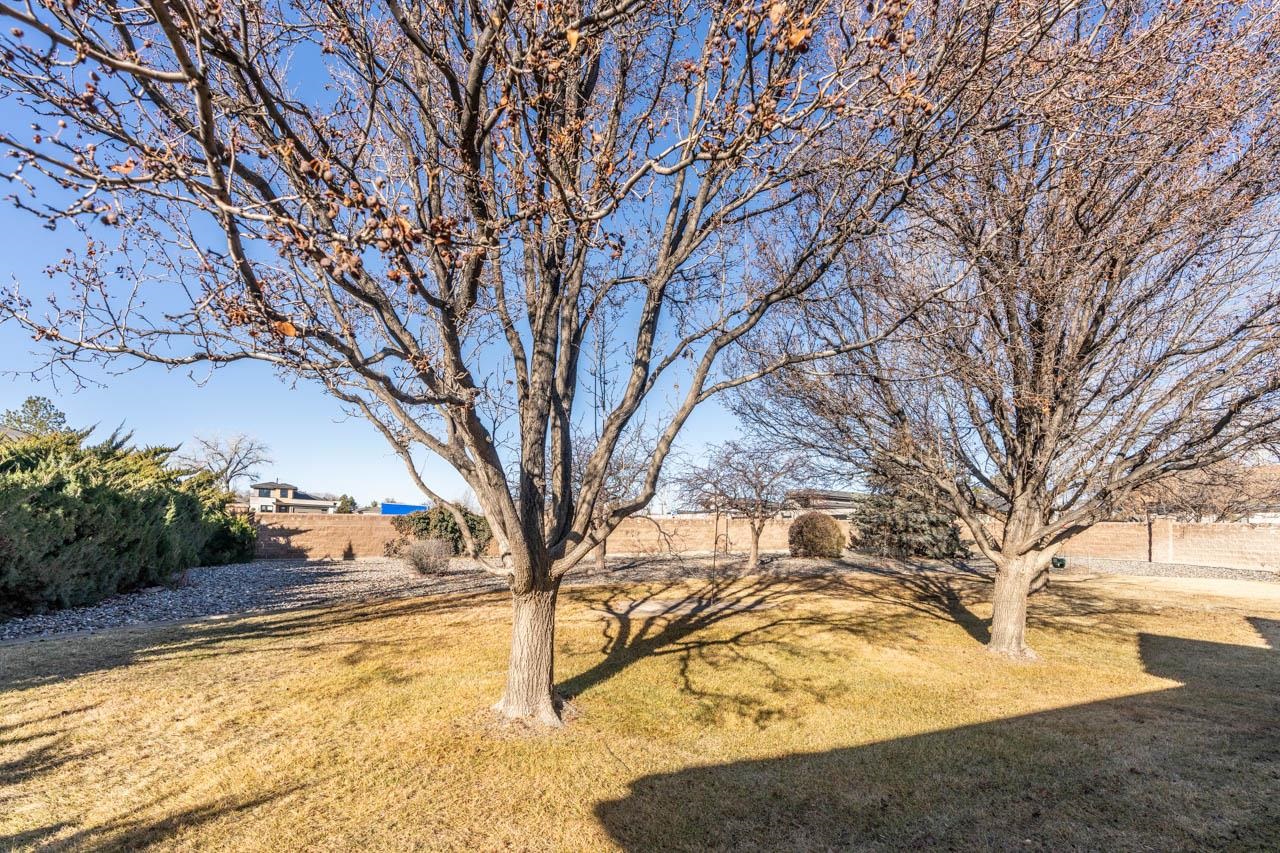 4329 Racquet Court Property Photo 37