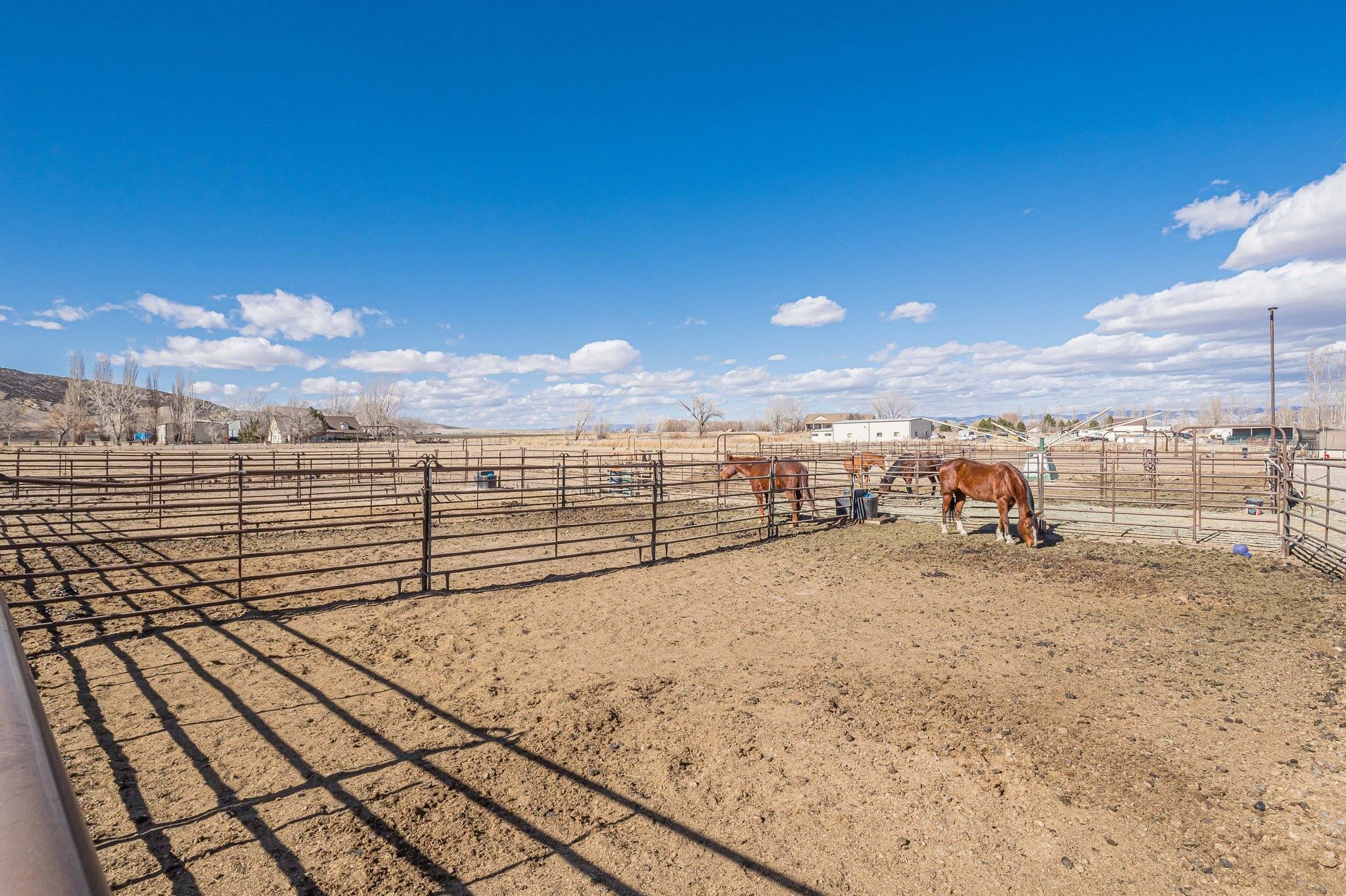 1255 12 1/2 Road Property Photo 11