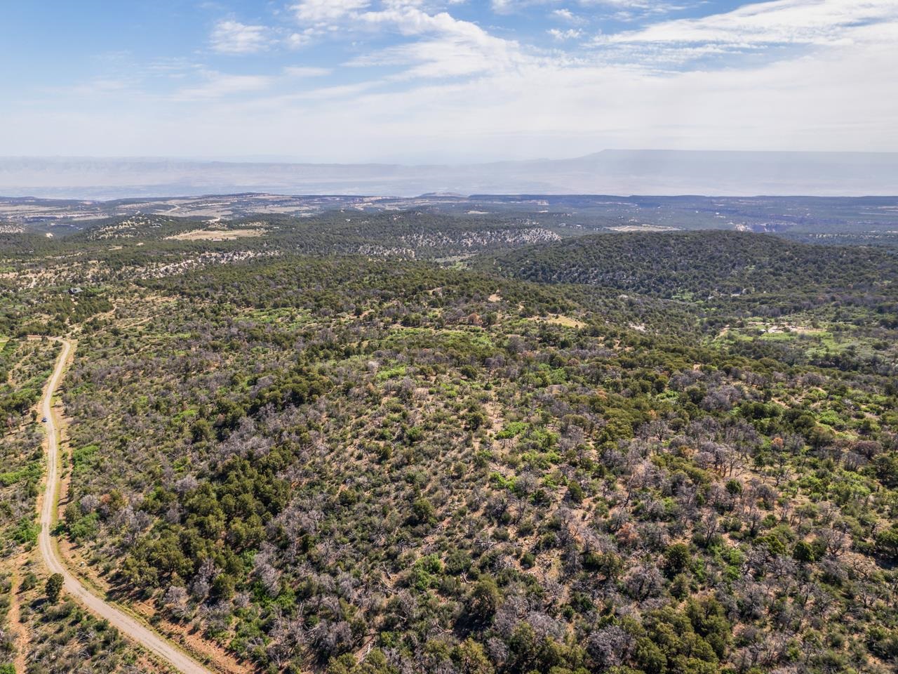 Tbd Elk Reserve Road Property Photo 2