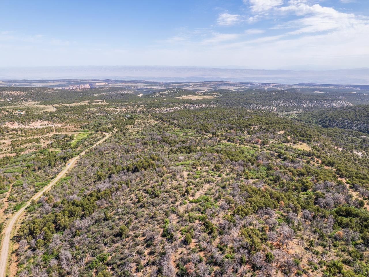 Tbd Elk Reserve Road Property Photo 3