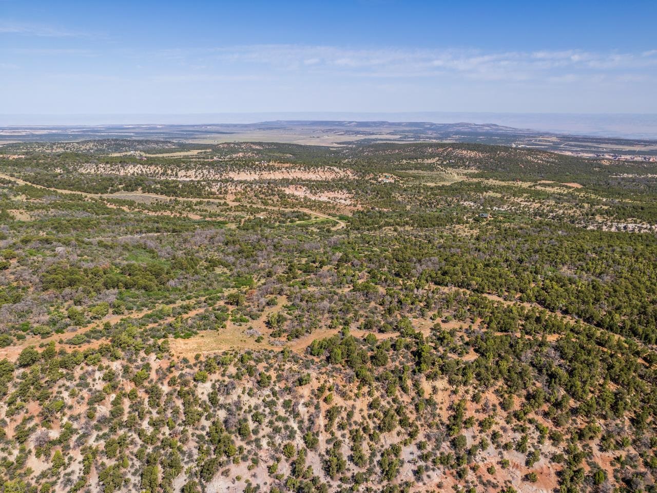 Tbd Elk Reserve Road Property Photo 5