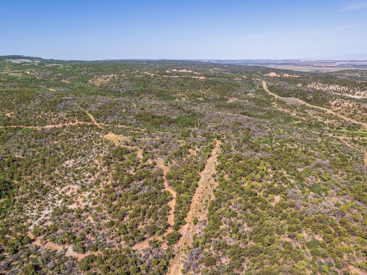 Tbd Elk Reserve Road Property Photo 6