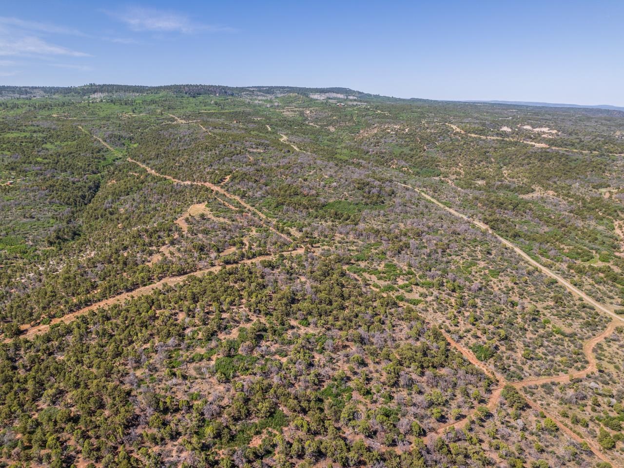 Tbd Elk Reserve Road Property Photo 7