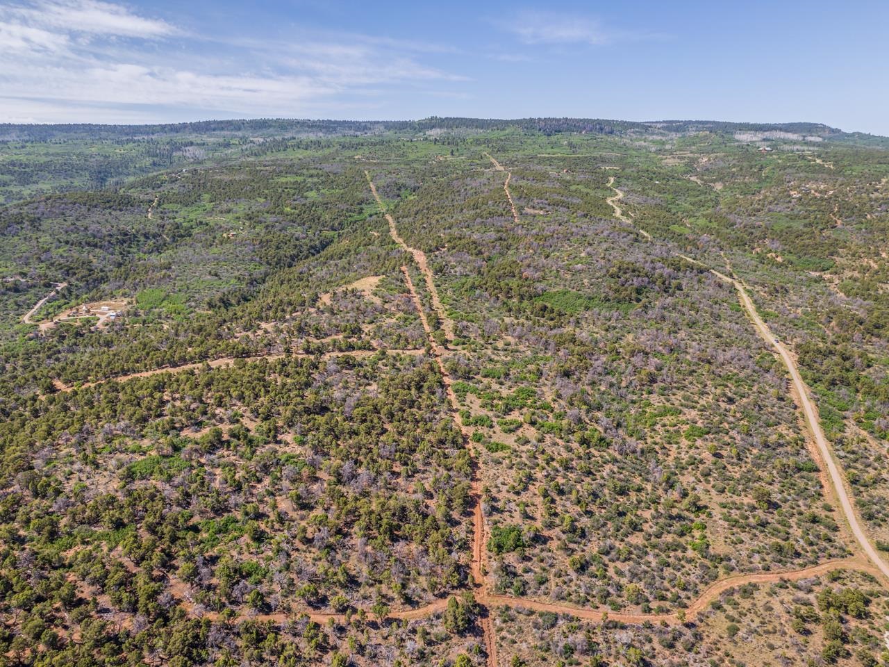 Tbd Elk Reserve Road Property Photo 8