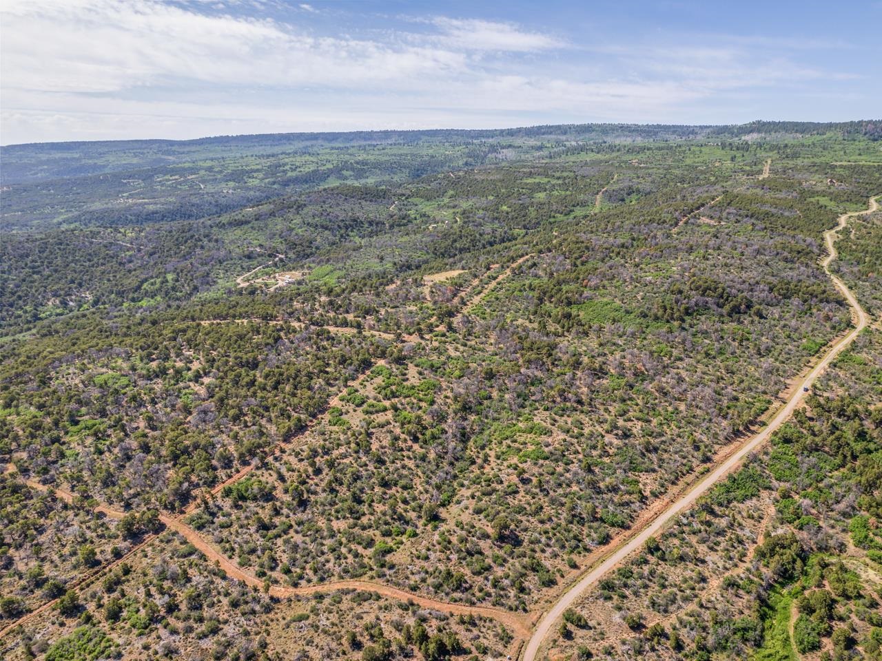 Tbd Elk Reserve Road Property Photo 9