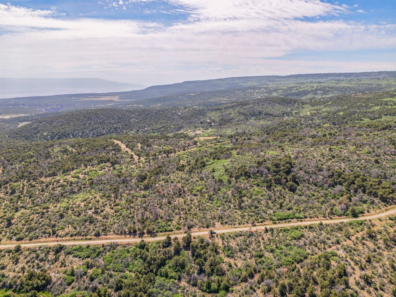 Tbd Elk Reserve Road Property Photo 10