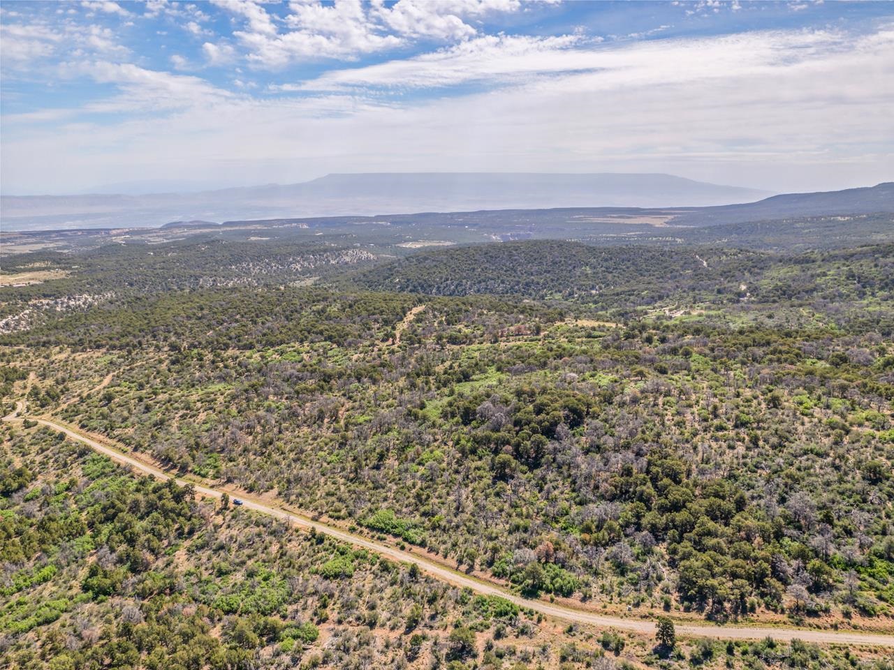 Tbd Elk Reserve Road Property Photo 11