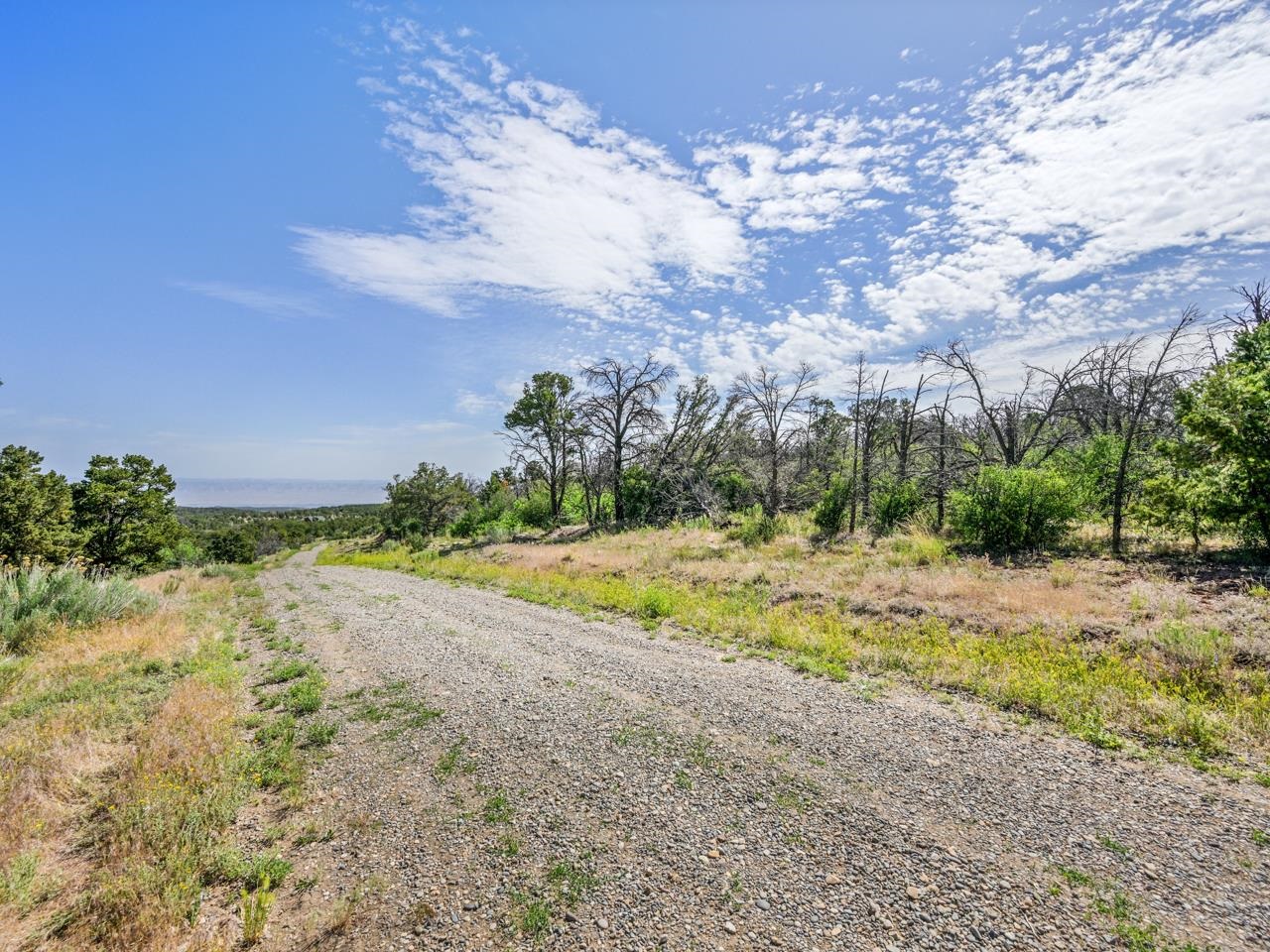 Tbd Elk Reserve Road Property Photo 12