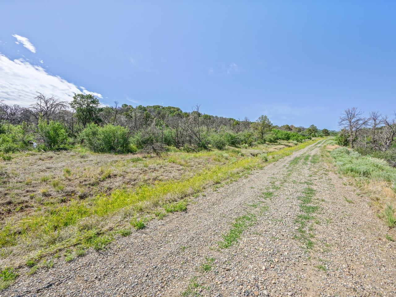 Tbd Elk Reserve Road Property Photo 13