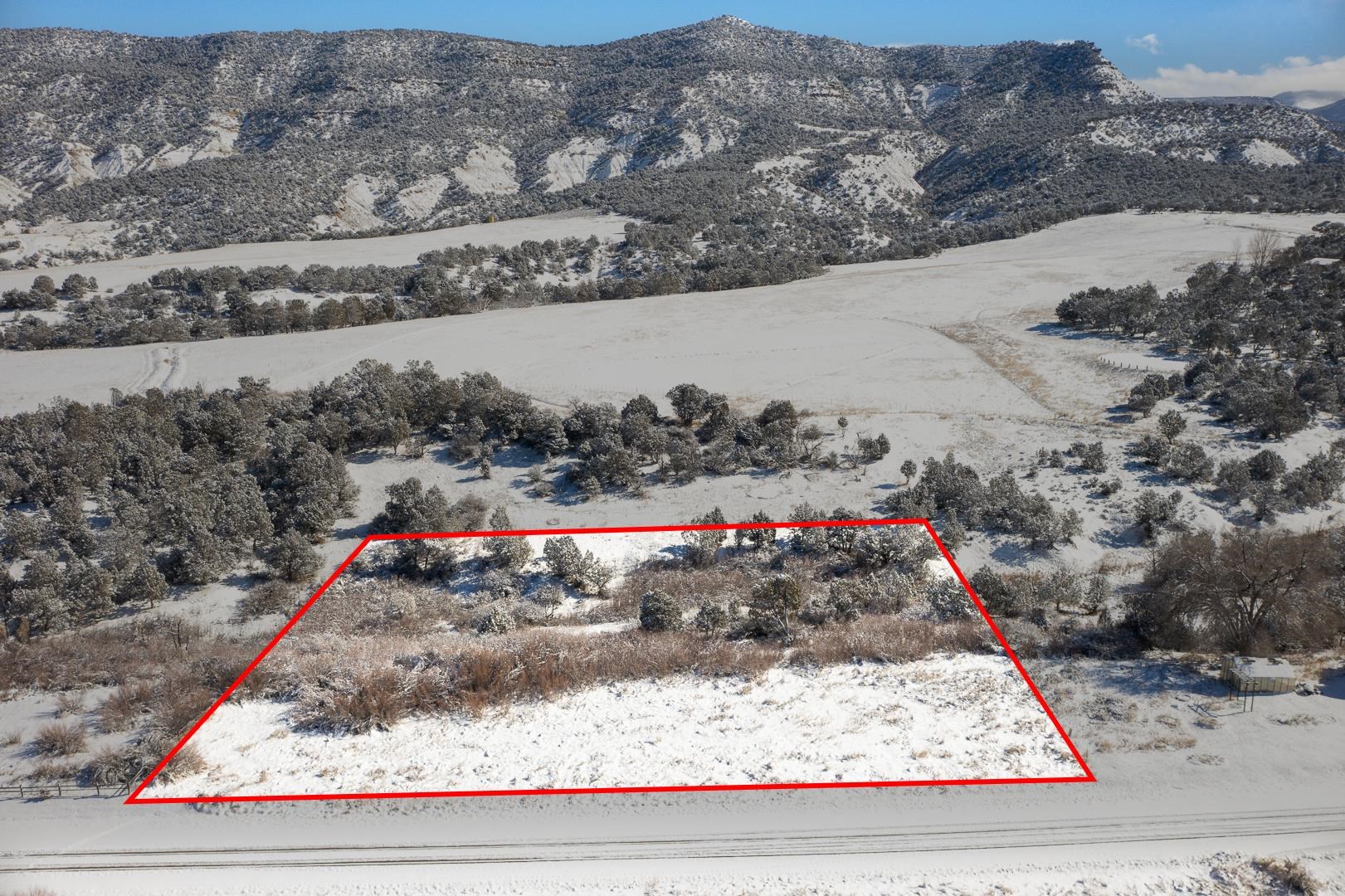 14650 N Ouray Court Property Photo