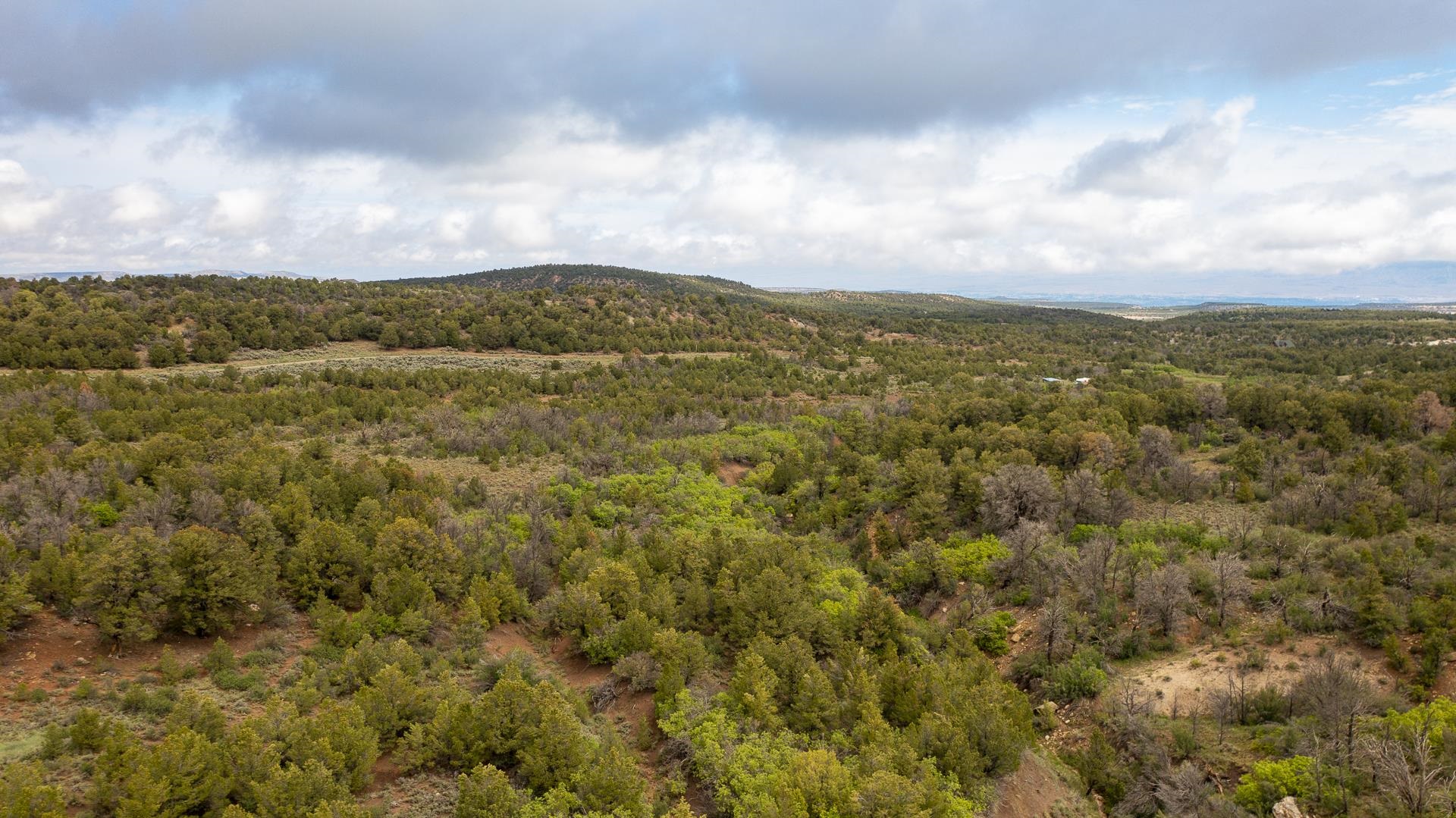 18973 Elk Reserve Road Property Photo 12