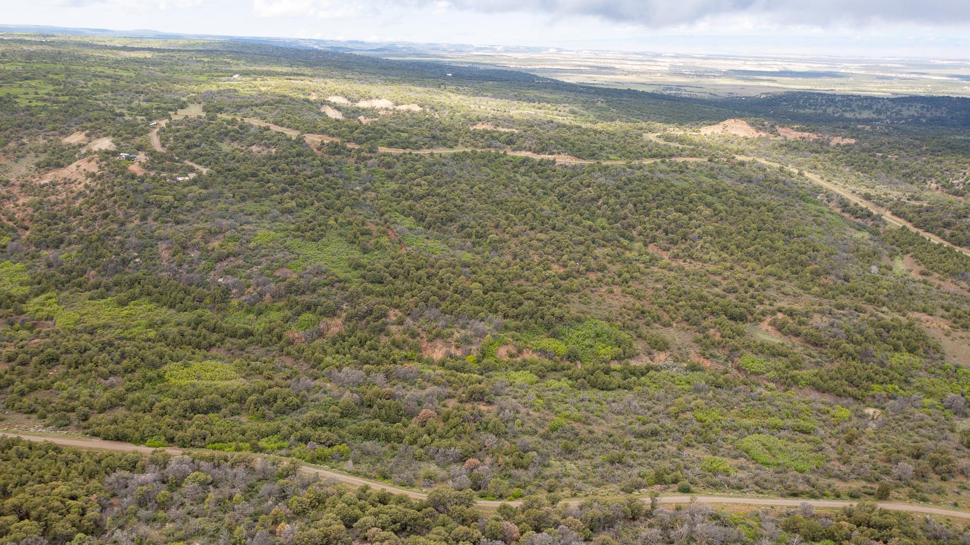 18973 Elk Reserve Road Property Photo 13