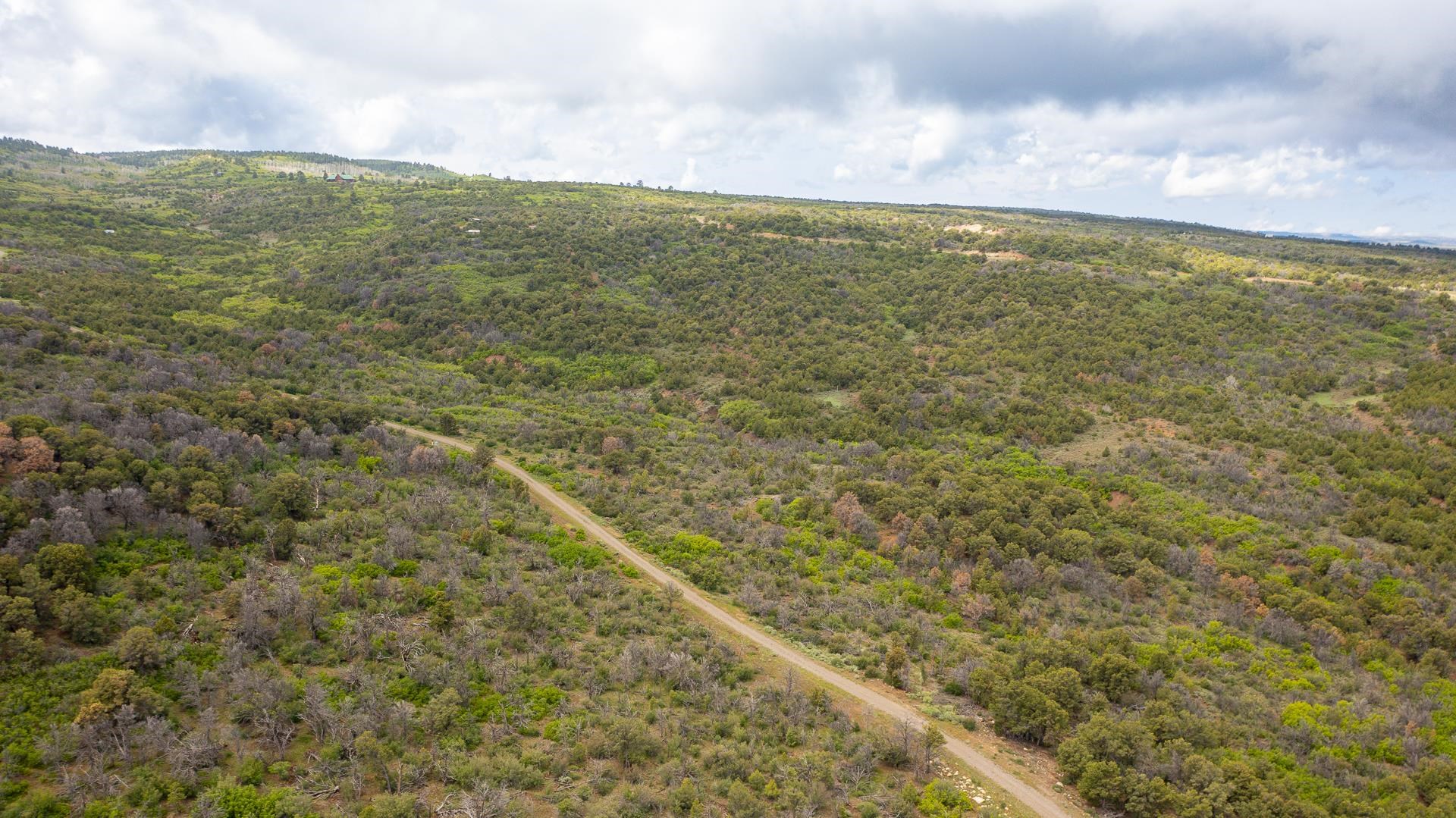 18973 Elk Reserve Road Property Photo 14