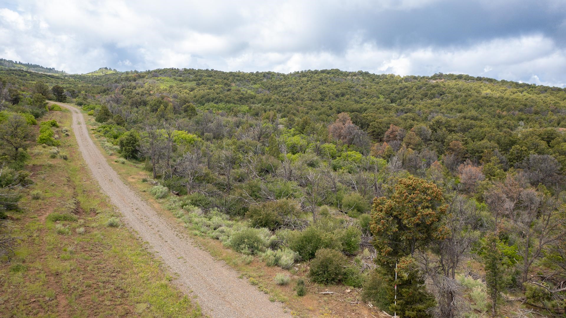 18973 Elk Reserve Road Property Photo 15