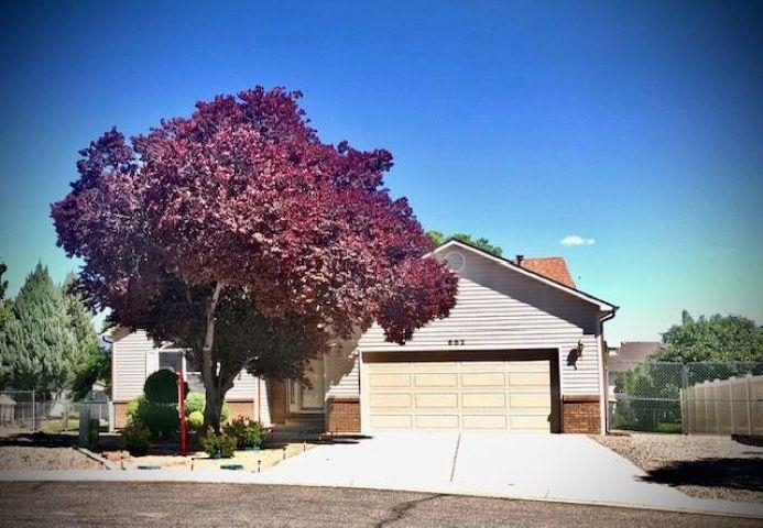 682 Crestone Court