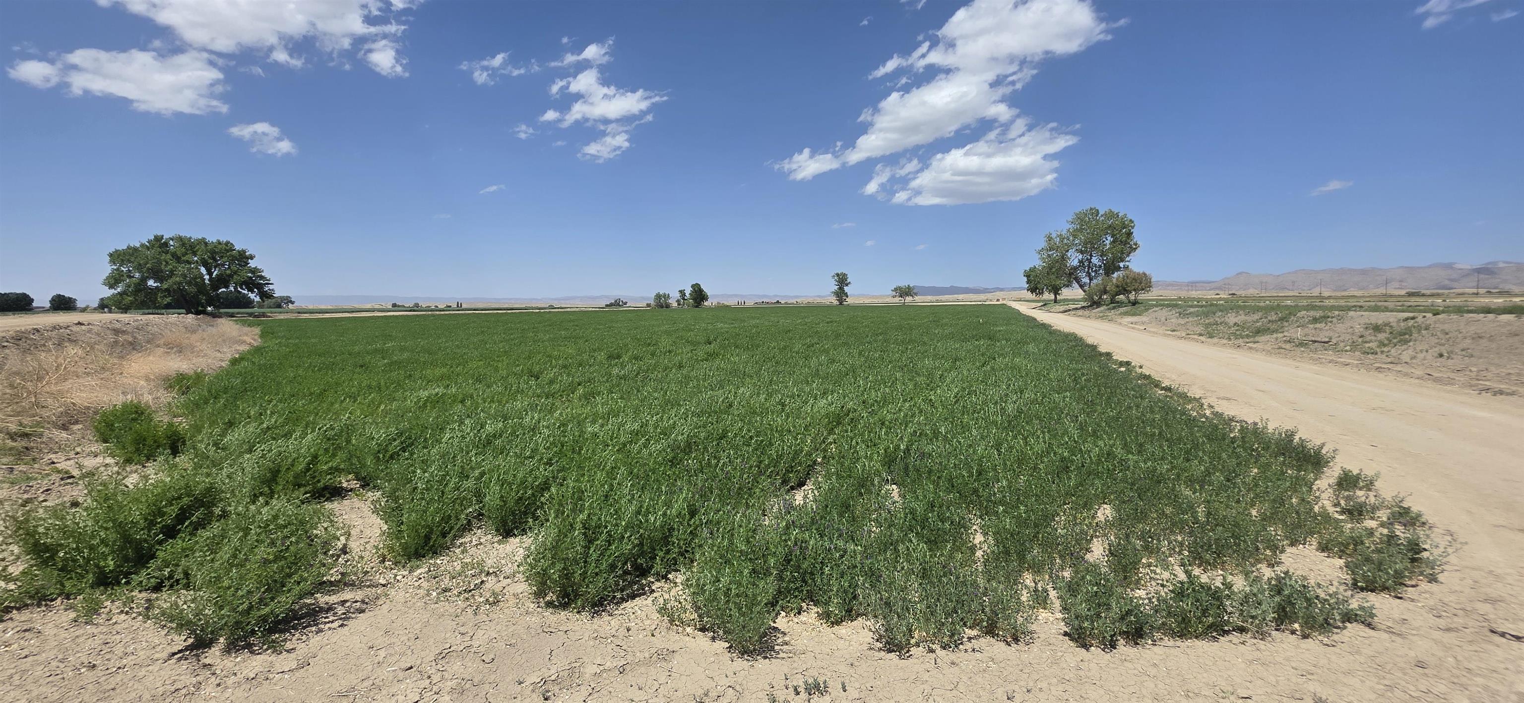 Tbd P Road Property Photo 12
