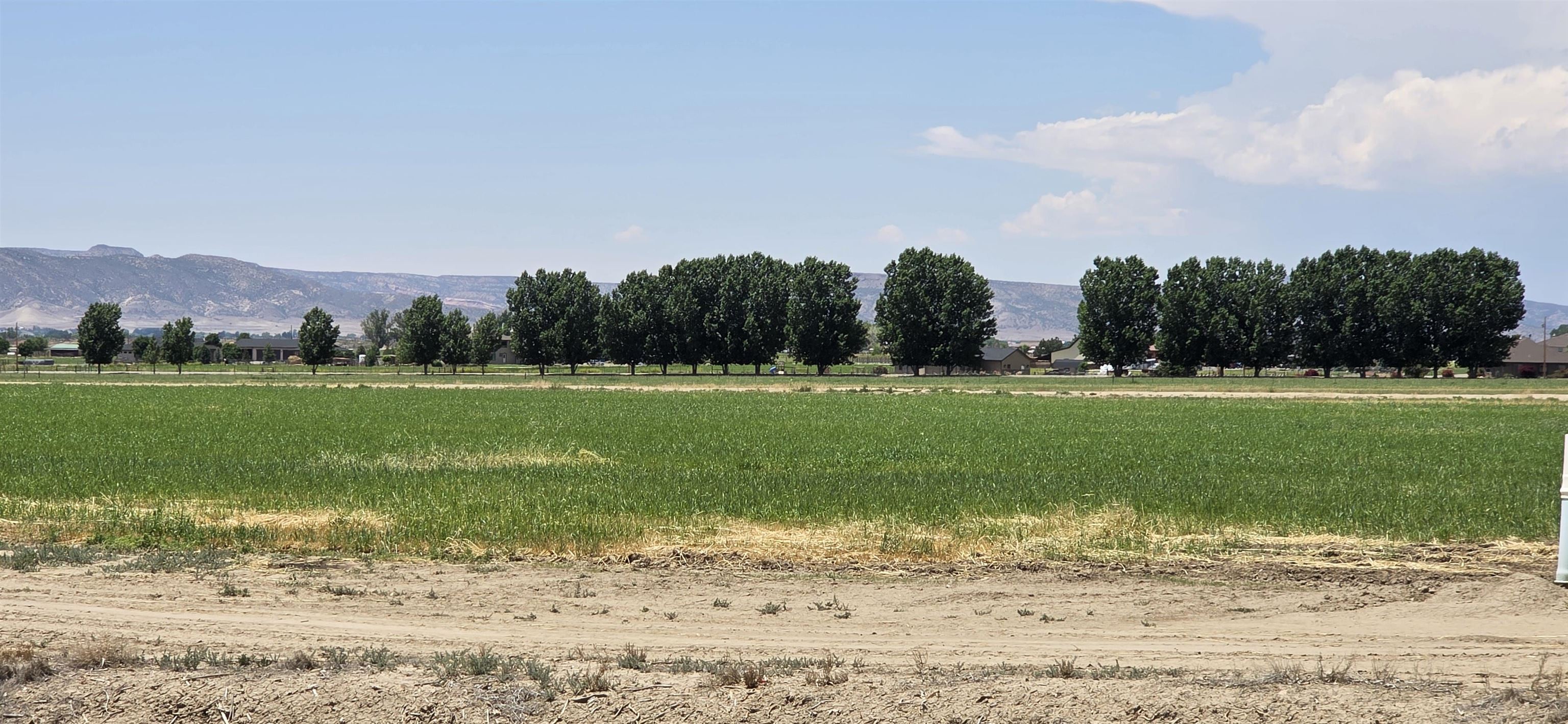 Tbd P Road Property Photo 15