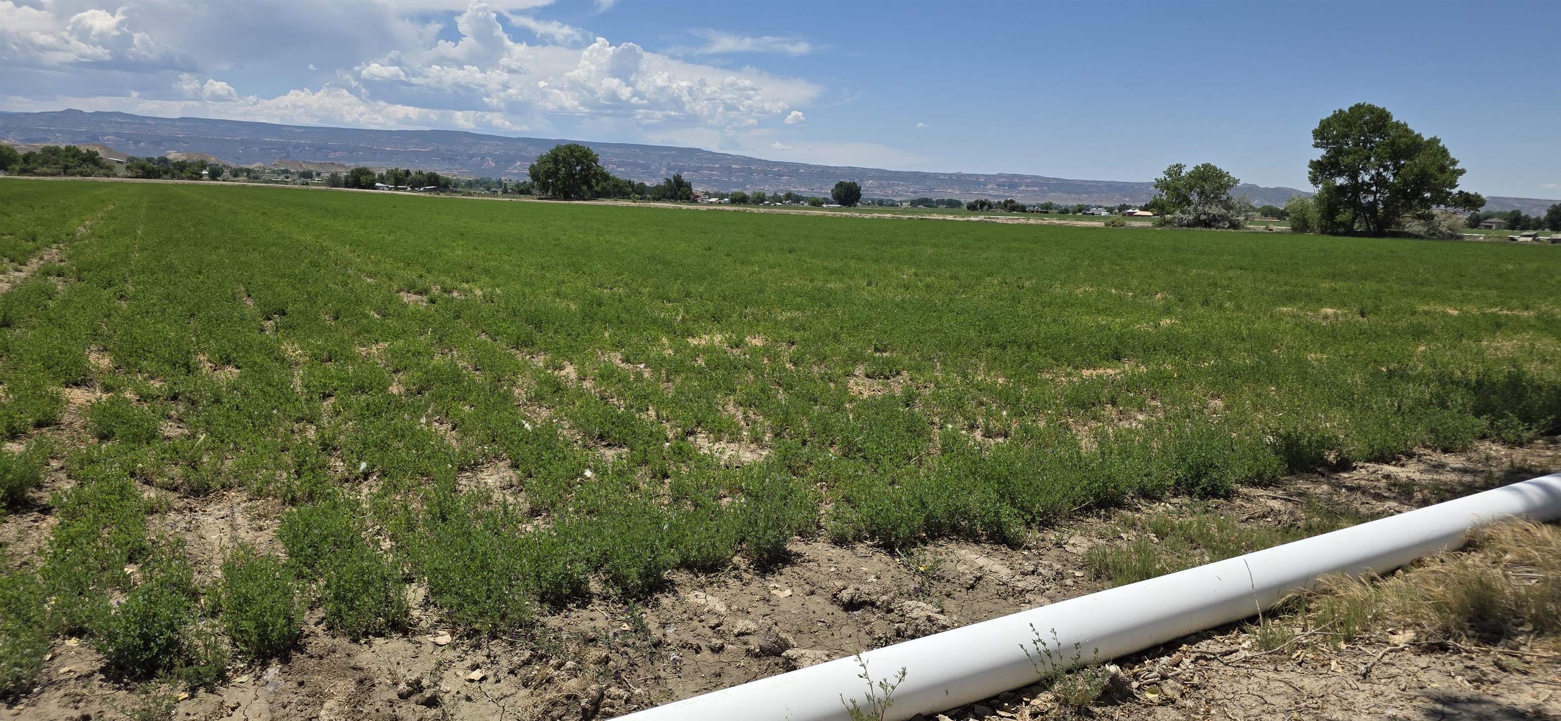 Tbd P Road Property Photo 16