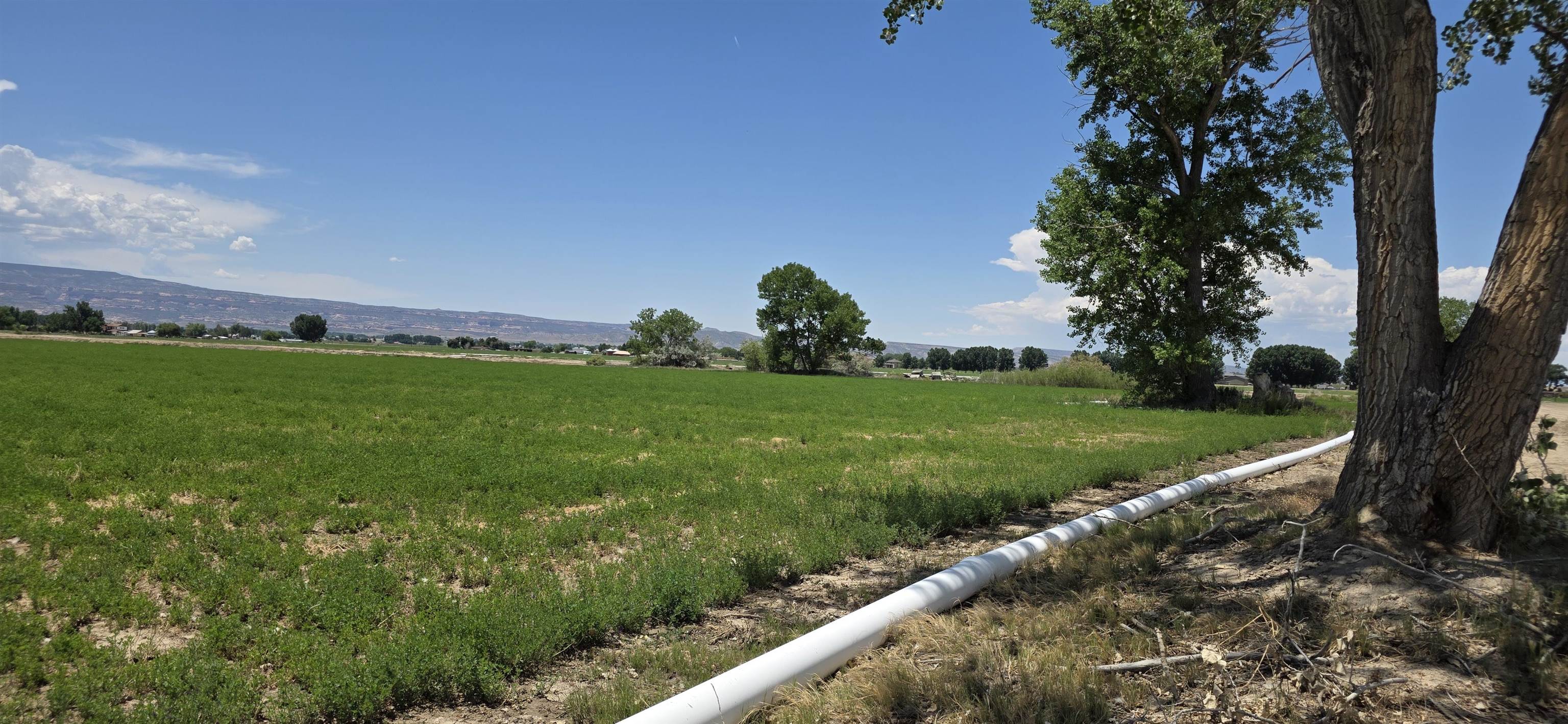 Tbd P Road Property Photo 17
