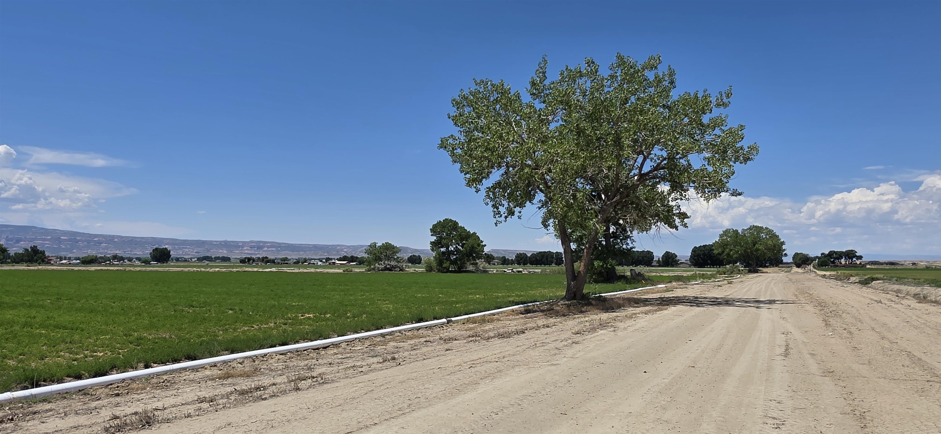 Tbd P Road Property Photo 18