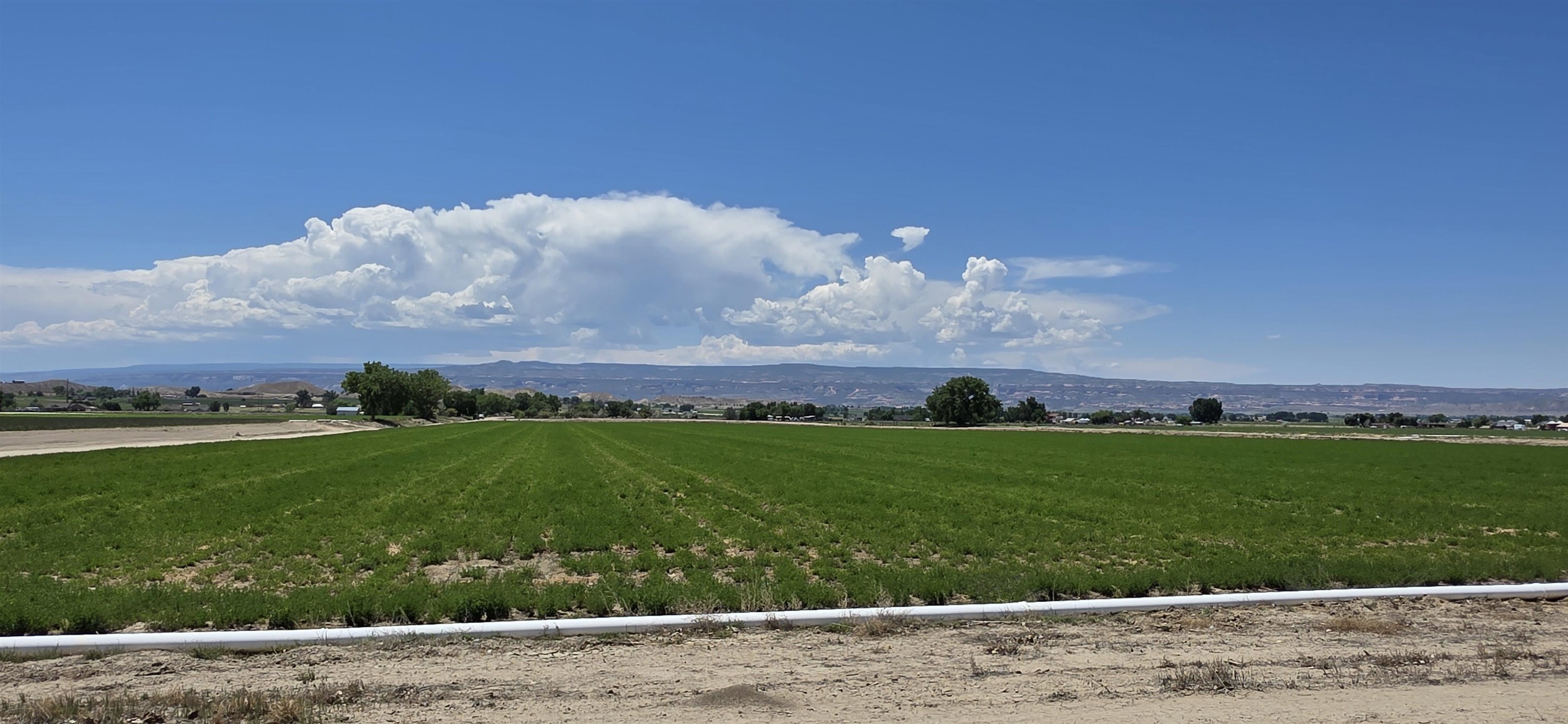 Tbd P Road Property Photo 20