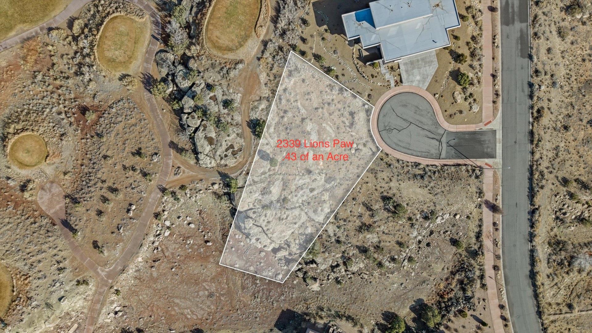 2339 Lions Paw Court Property Photo