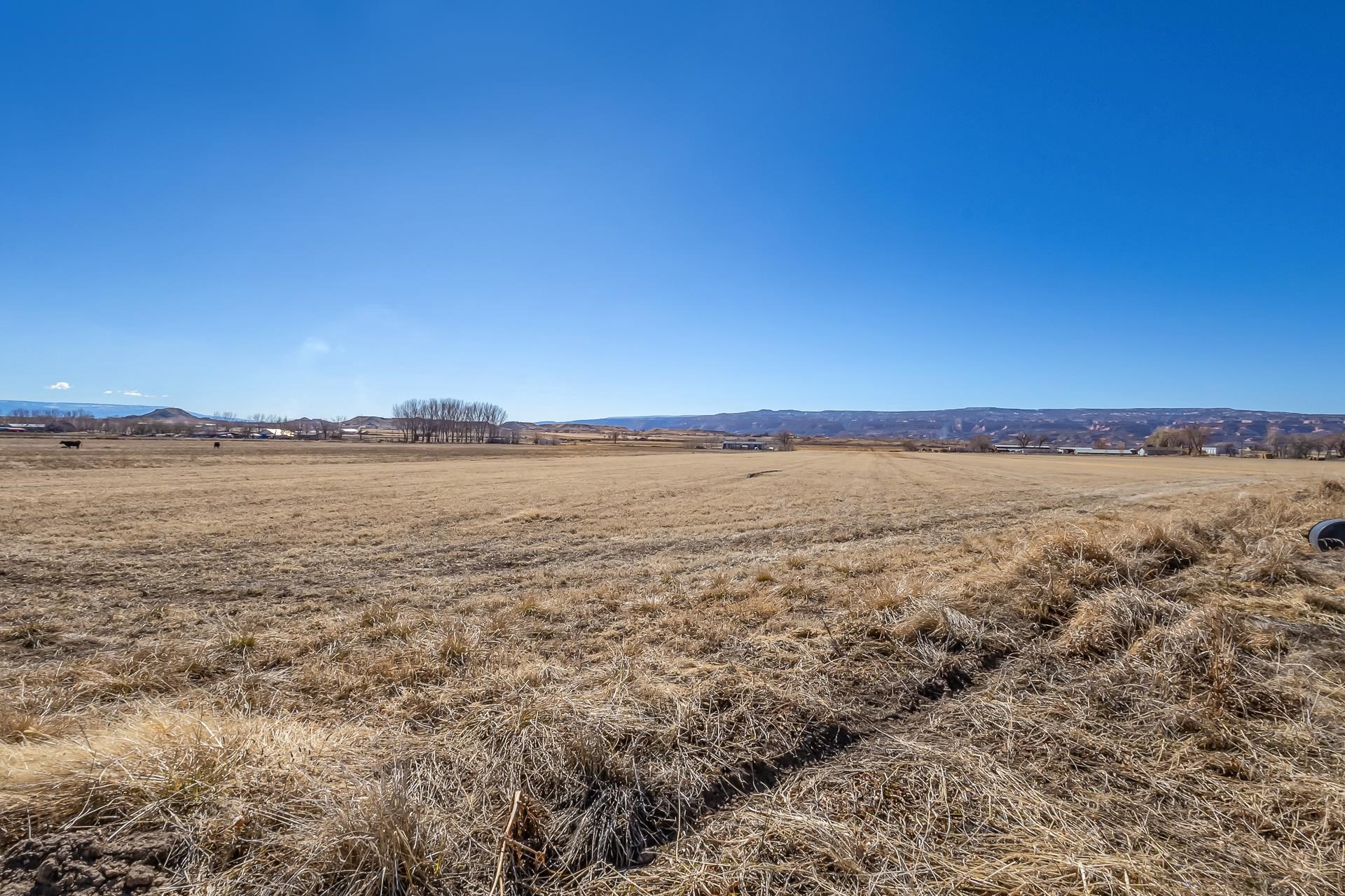 1500 O Road Property Photo 16