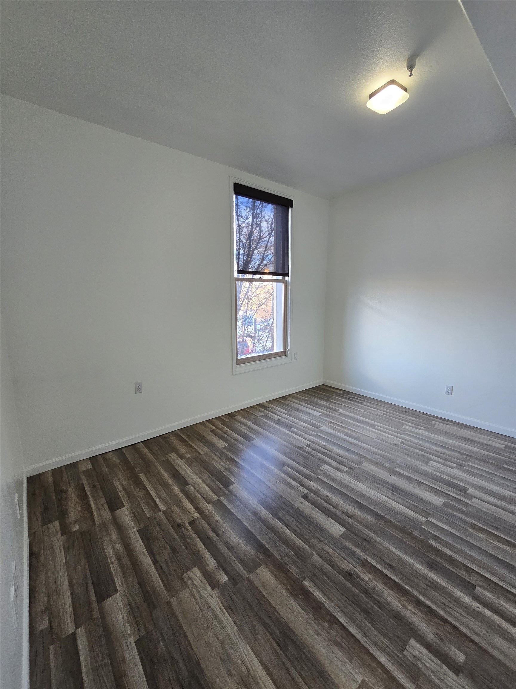 359 Colorado Avenue Property Photo 10