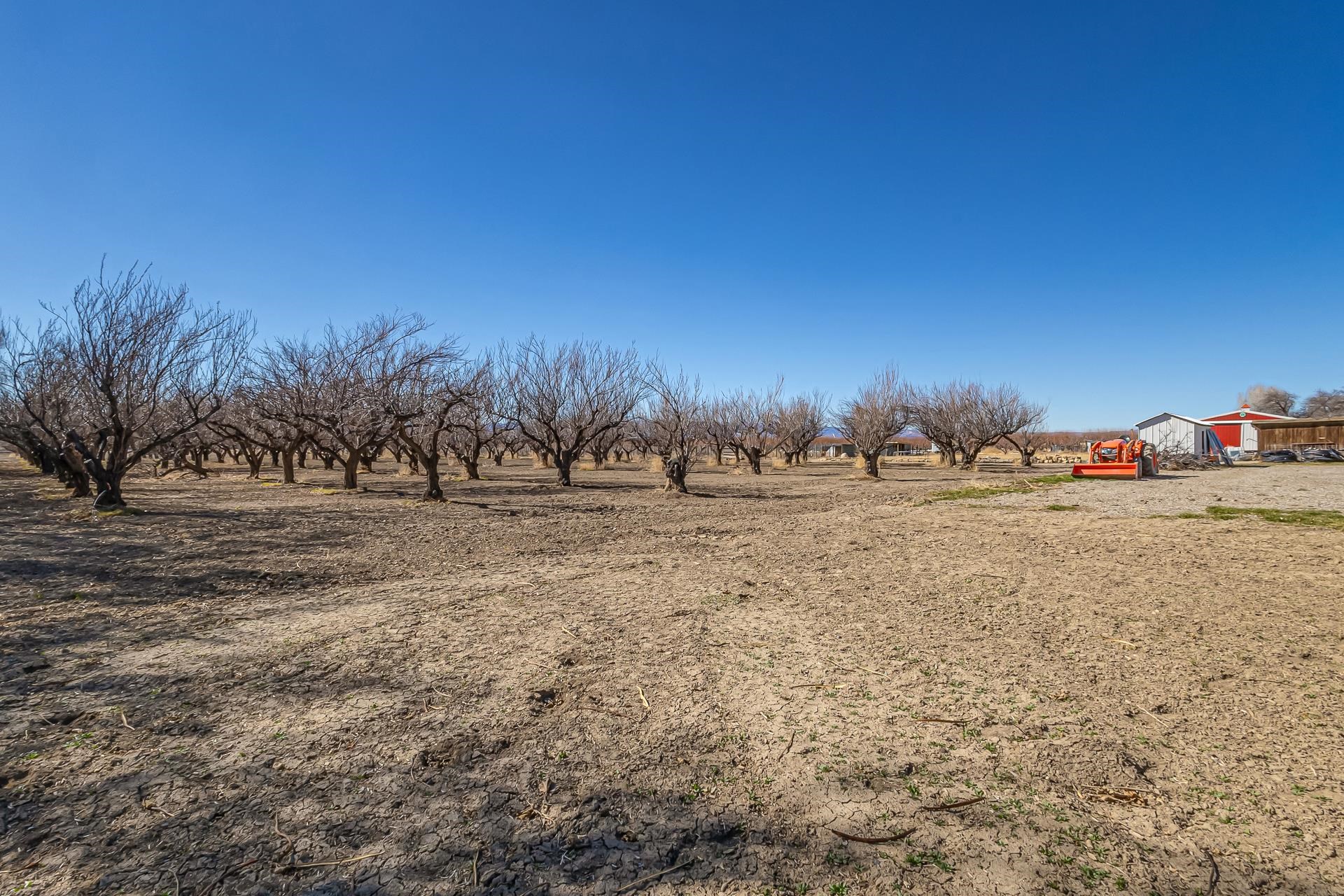 3573 G Road Property Photo 34