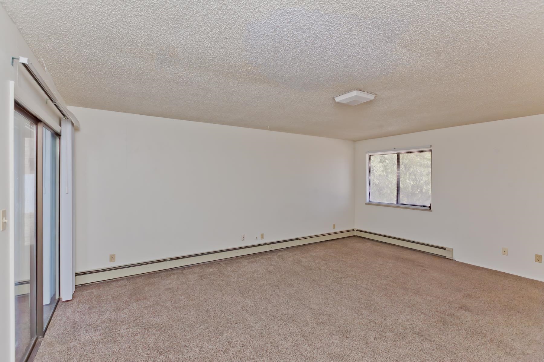2717 N 8th Court Property Photo 22