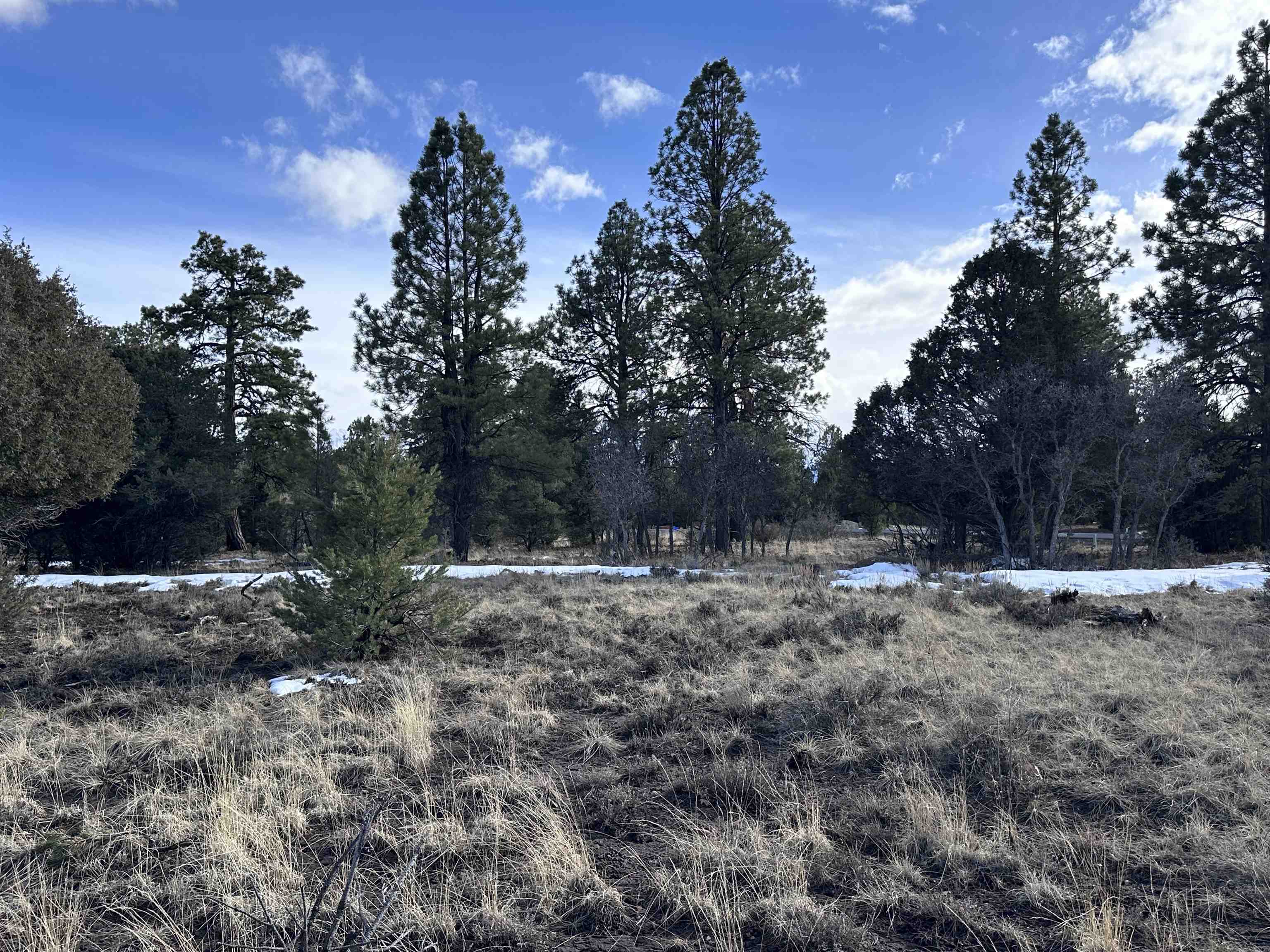 1960 Marmot Drive Property Photo 10