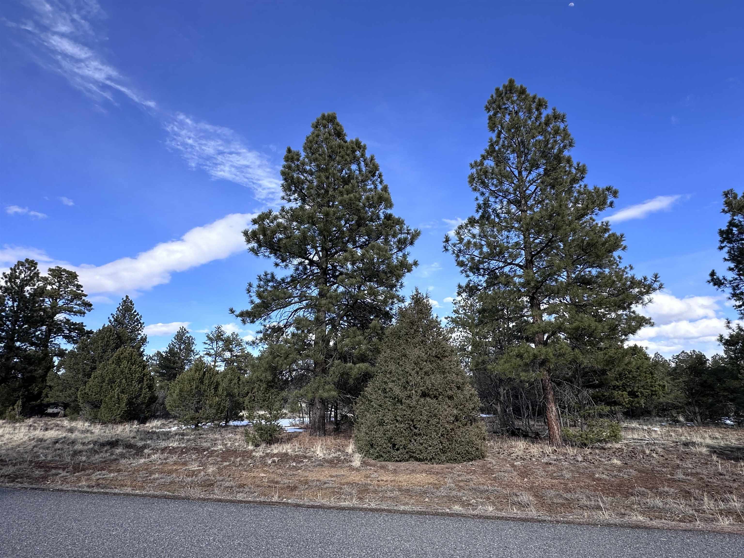 1960 Marmot Drive Property Photo 13