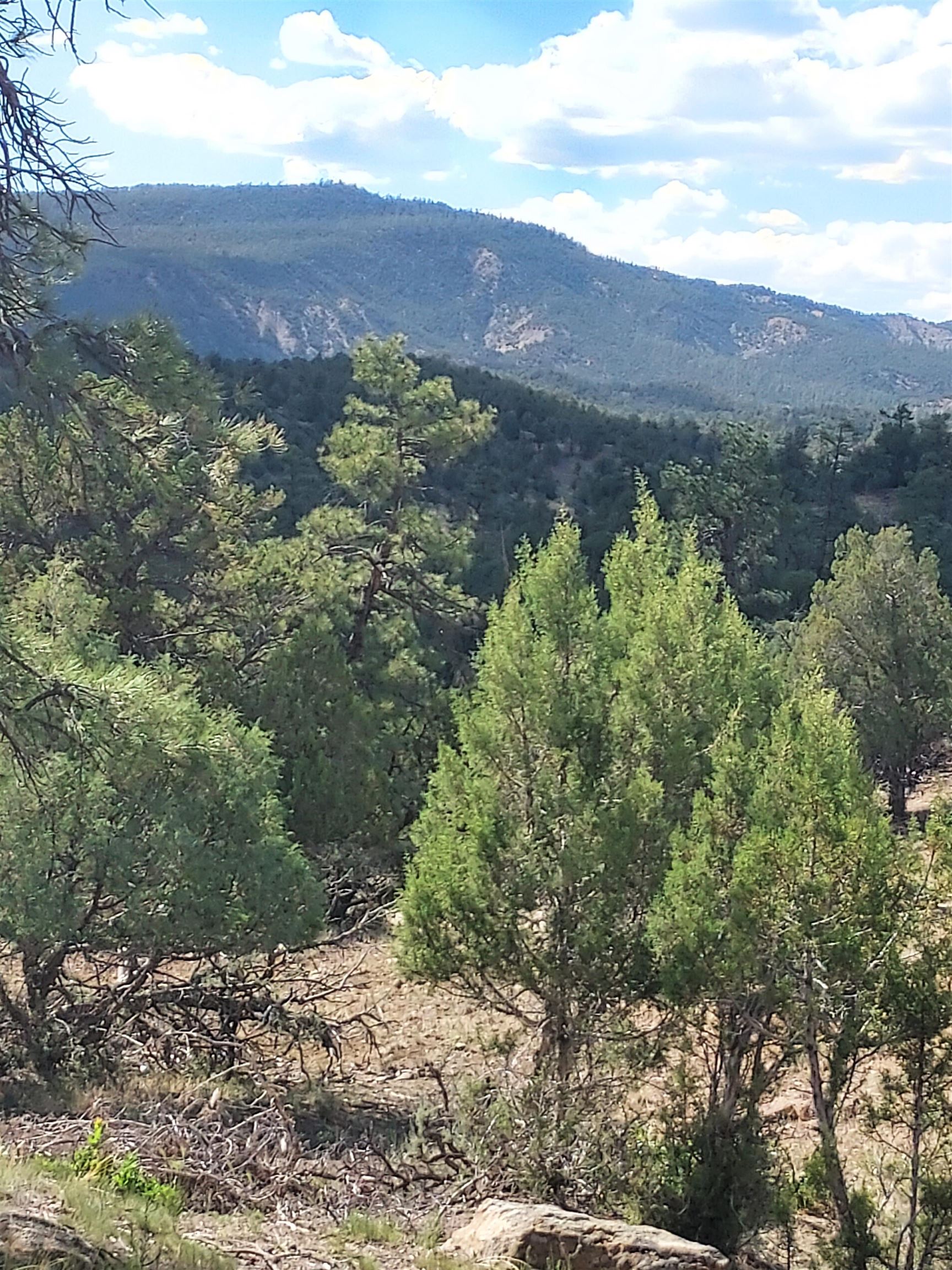 Pagosa Real Estate Listings Main Image