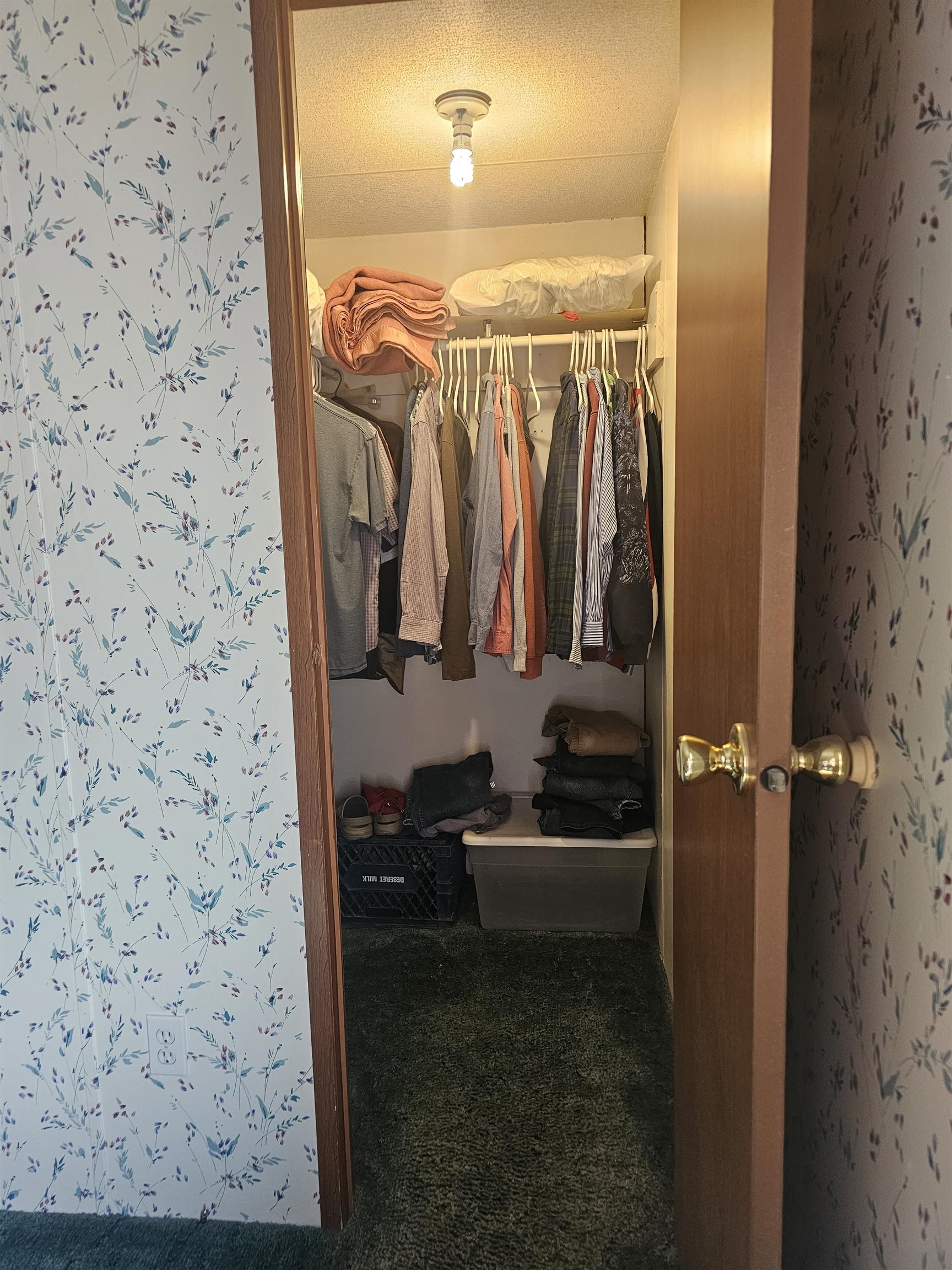 585 25 1/2 Road Property Photo 17
