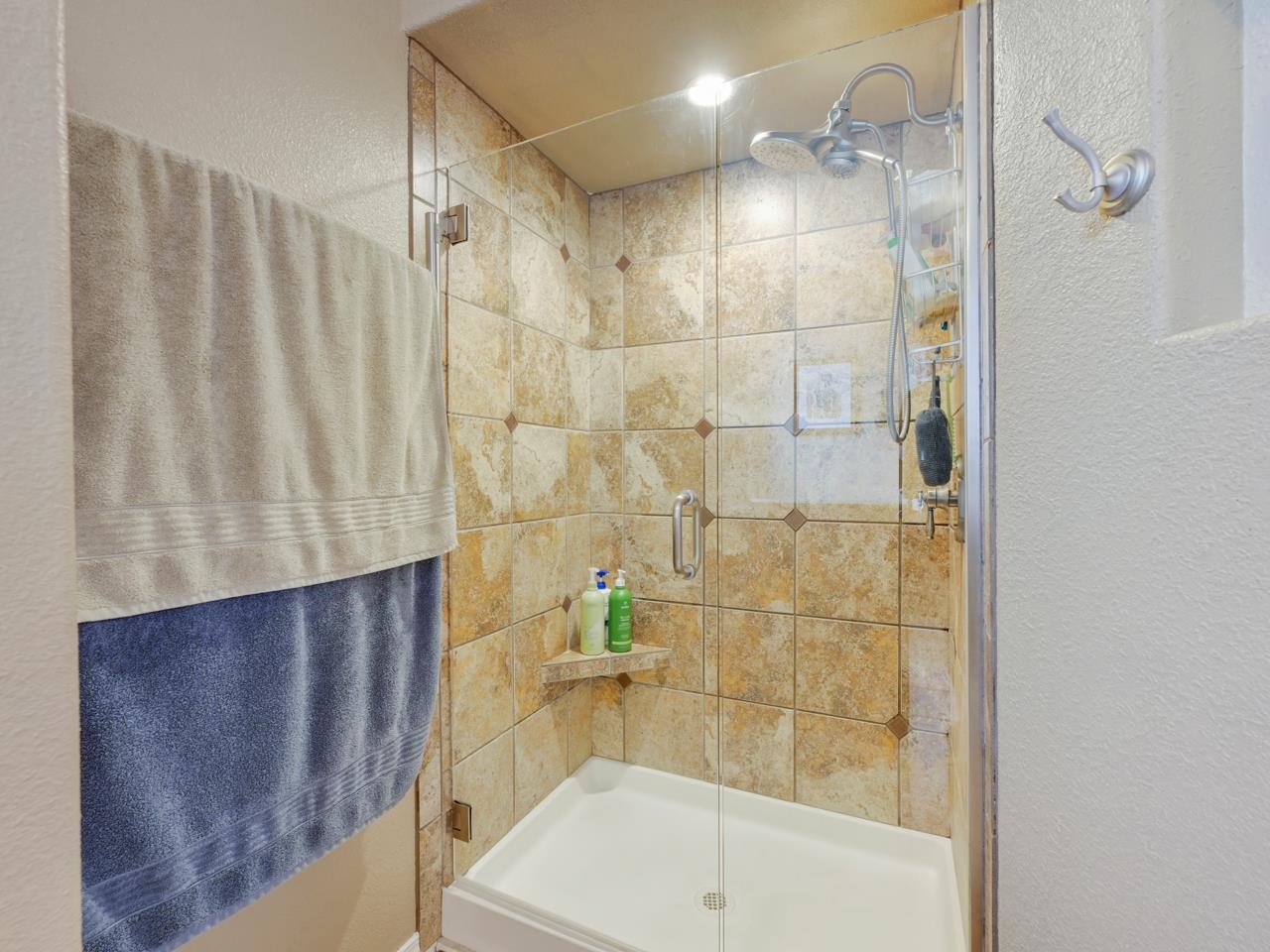 671 Silverplume Drive Property Photo 18