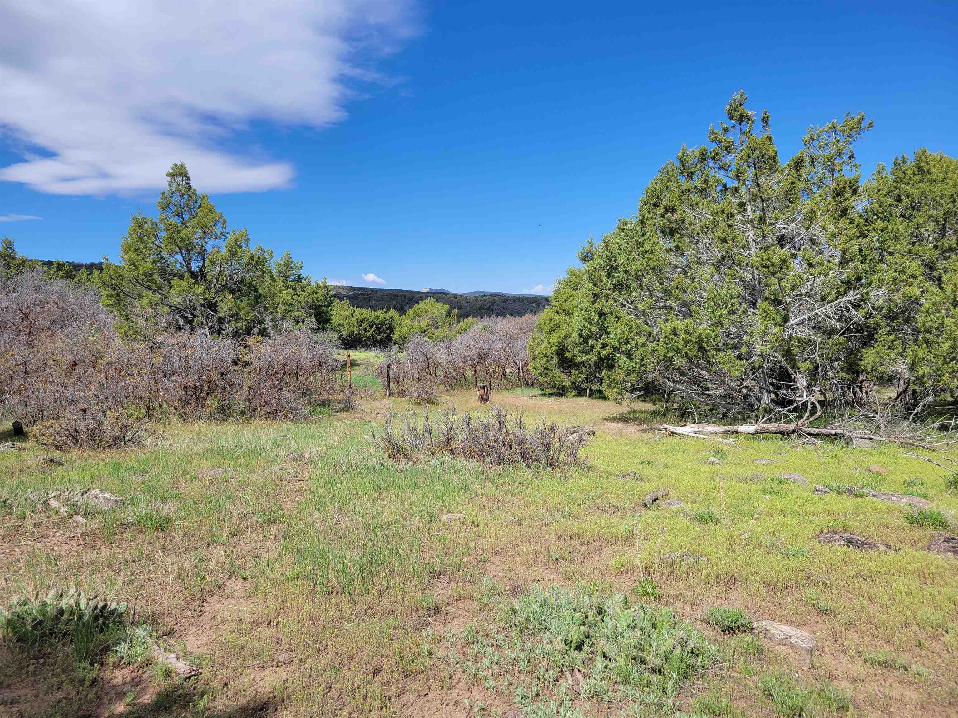 53873 Ie 3/4 Road Property Photo 2