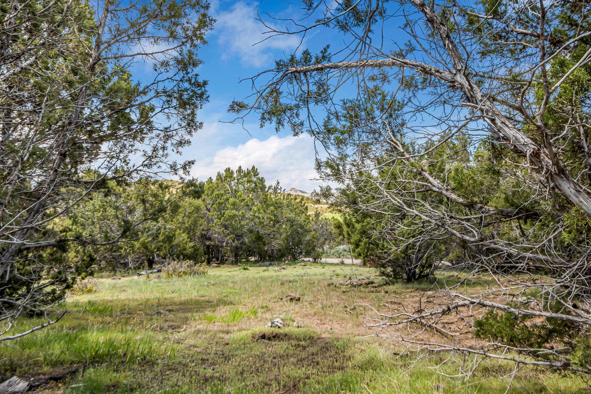 53873 Ie 3/4 Road Property Photo 3