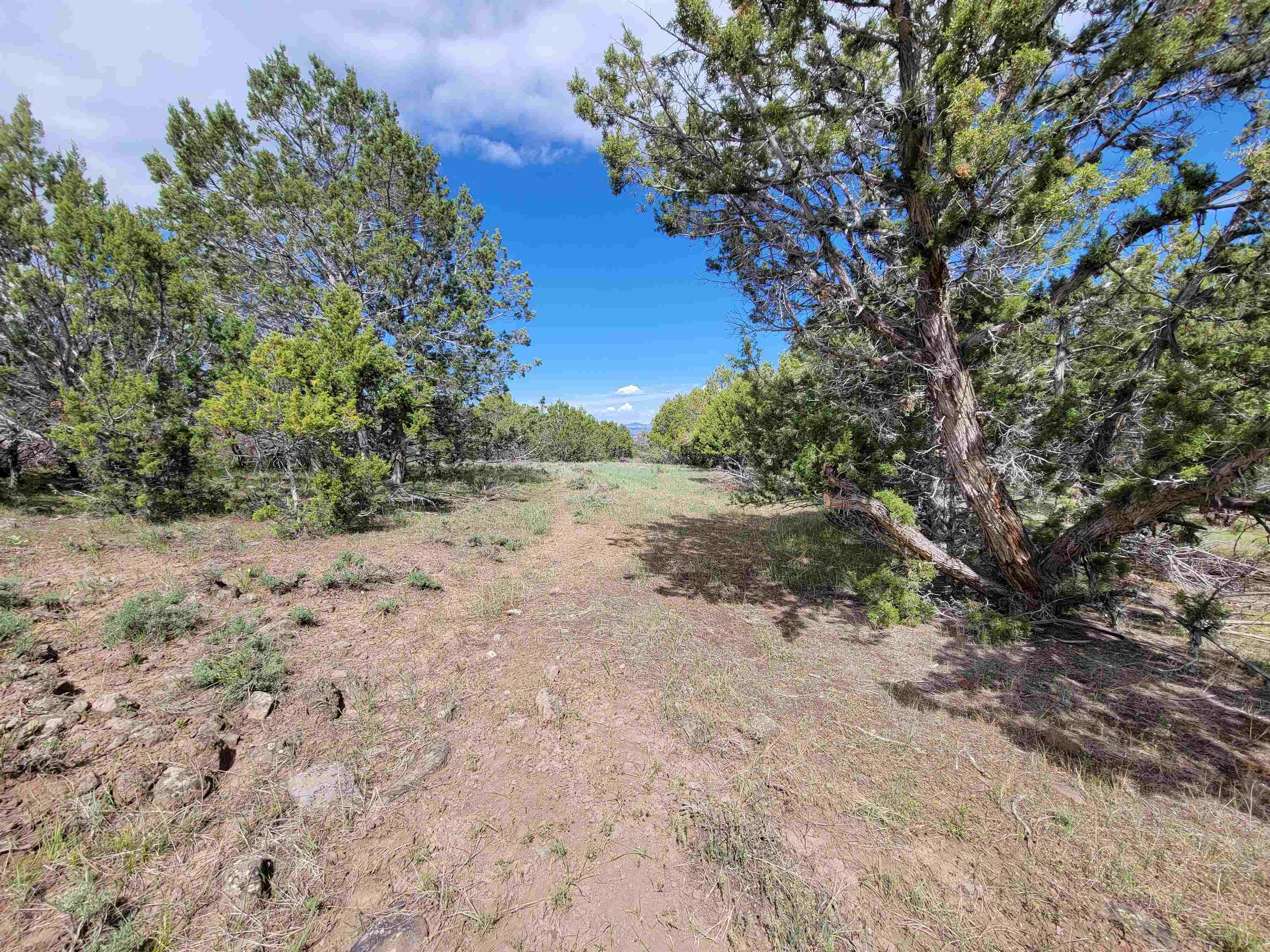 53873 Ie 3/4 Road Property Photo 4